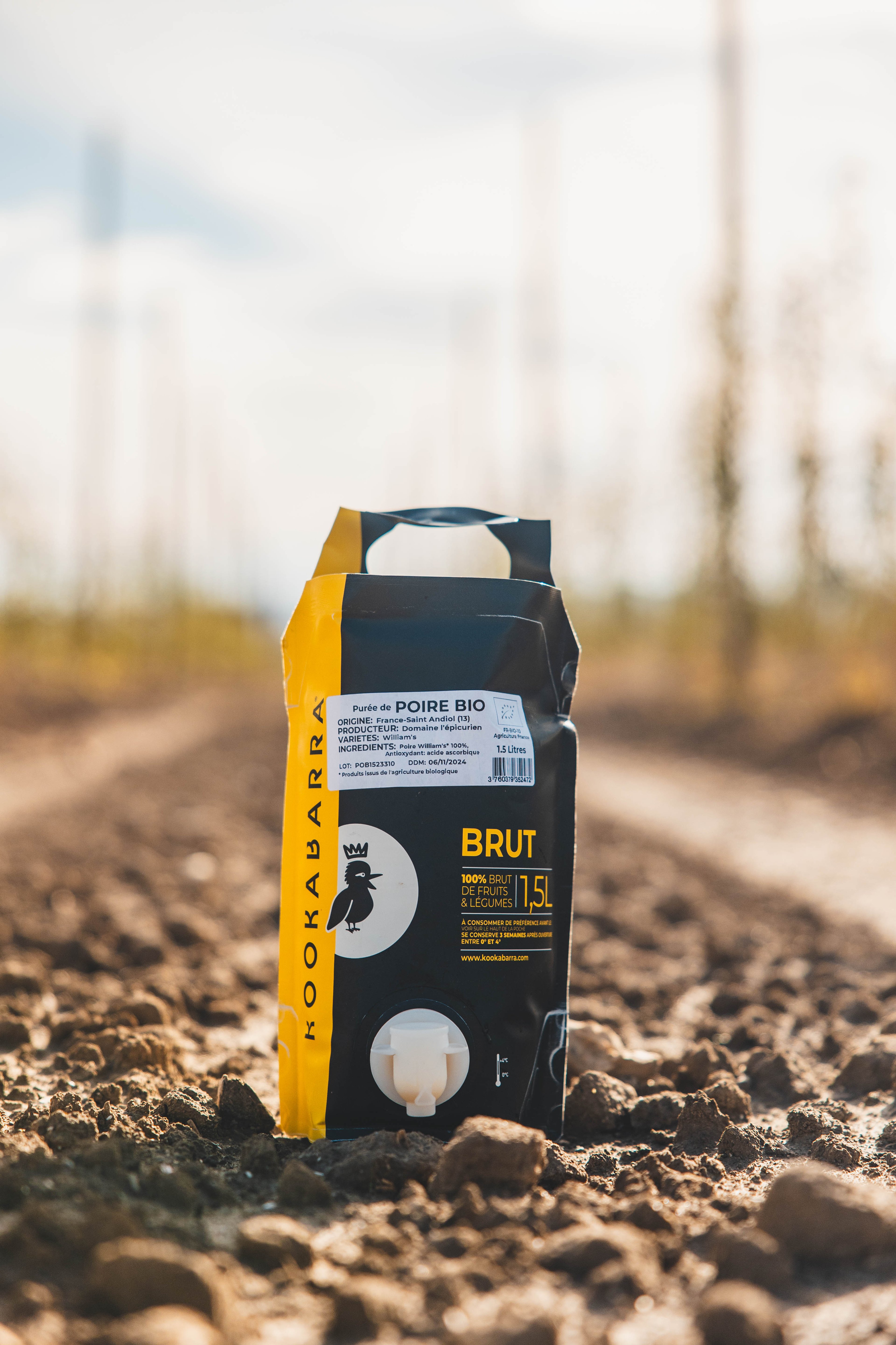 Brand photograph — CAMPAGNE KOOKABARRA, CAVAILLON, 4