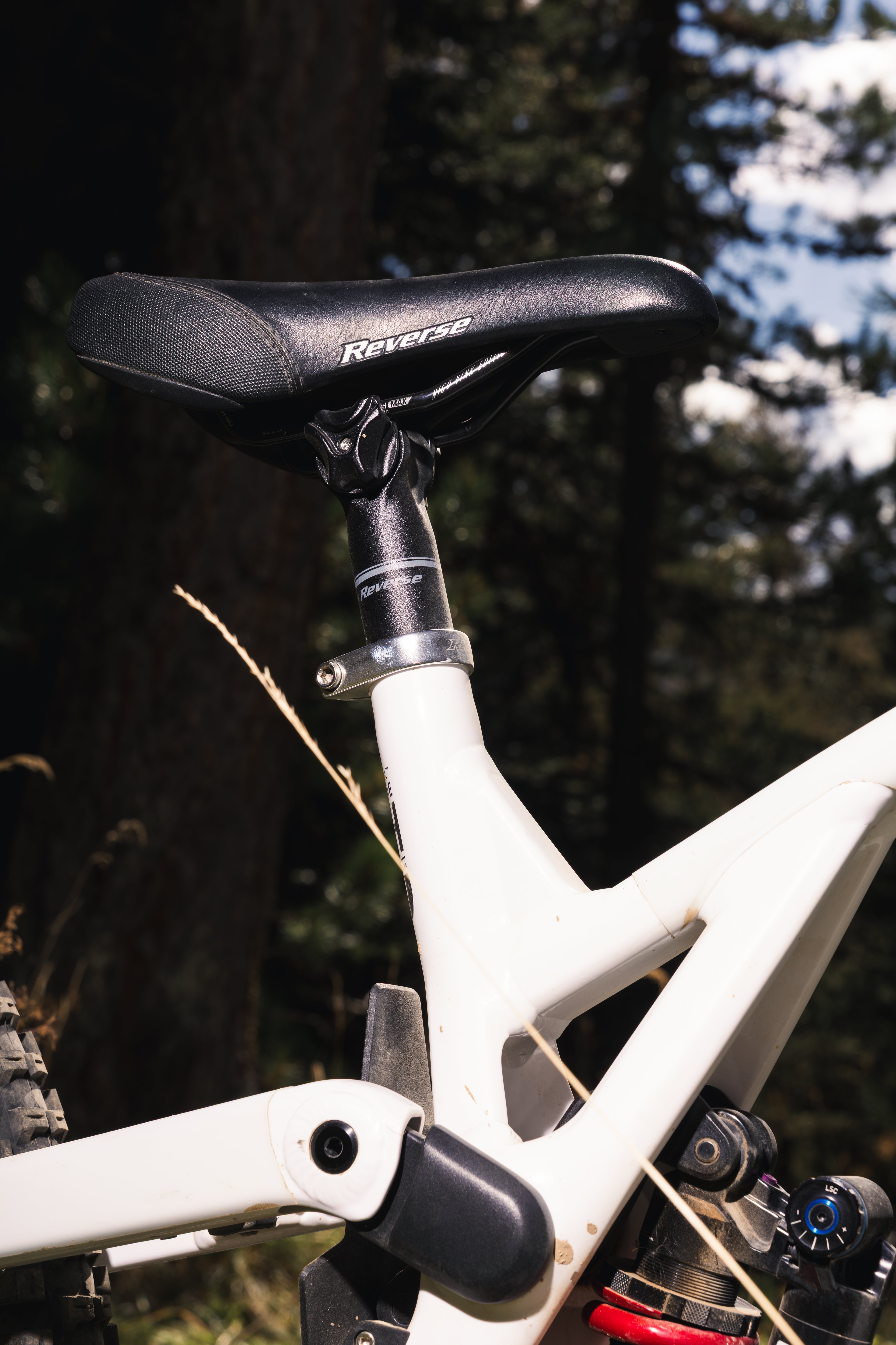 Photo de sport — BIKEPARK LES ORRES, Hautes-Alpes , 15