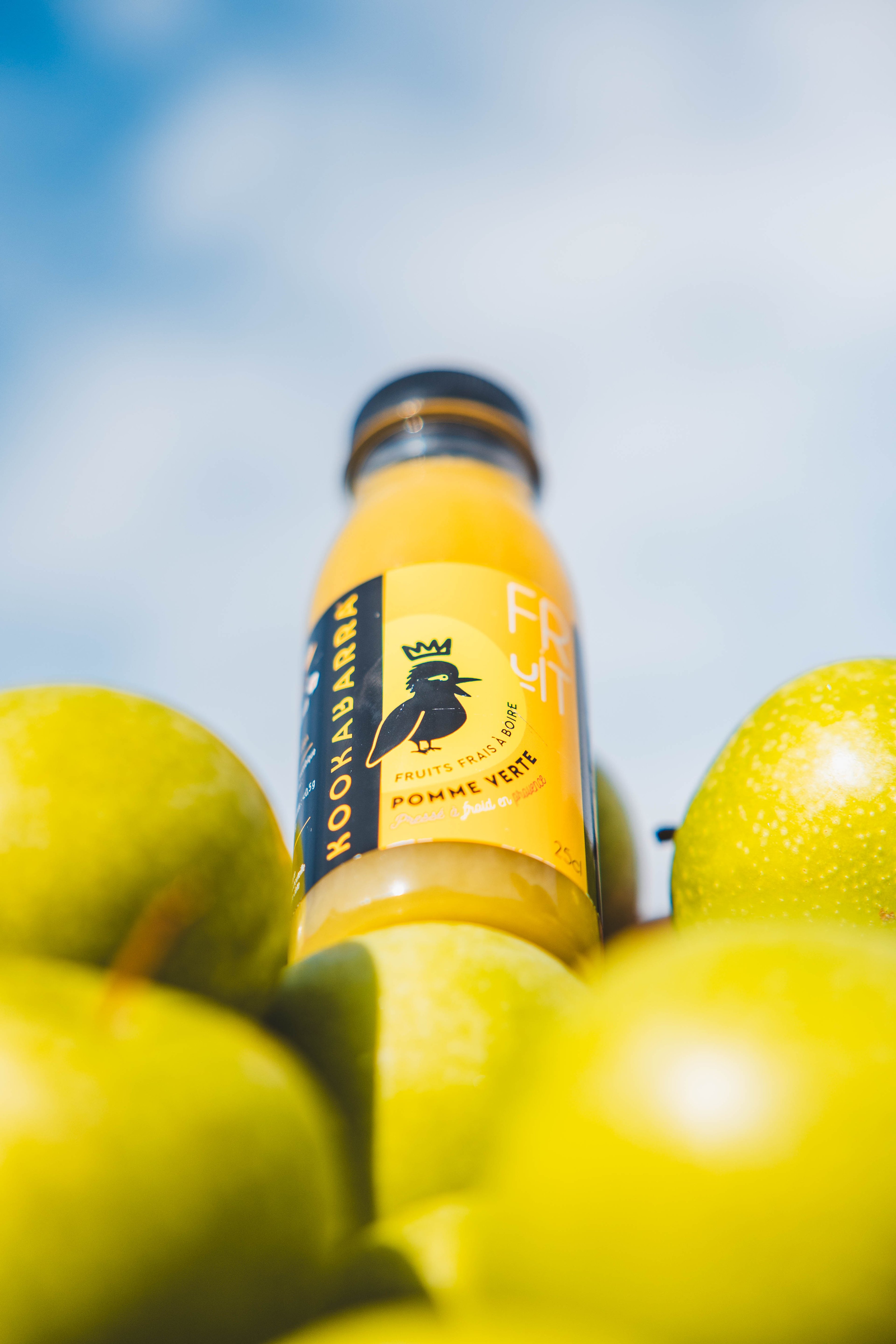 Brand photograph — CAMPAGNE KOOKABARRA, CAVAILLON, 30