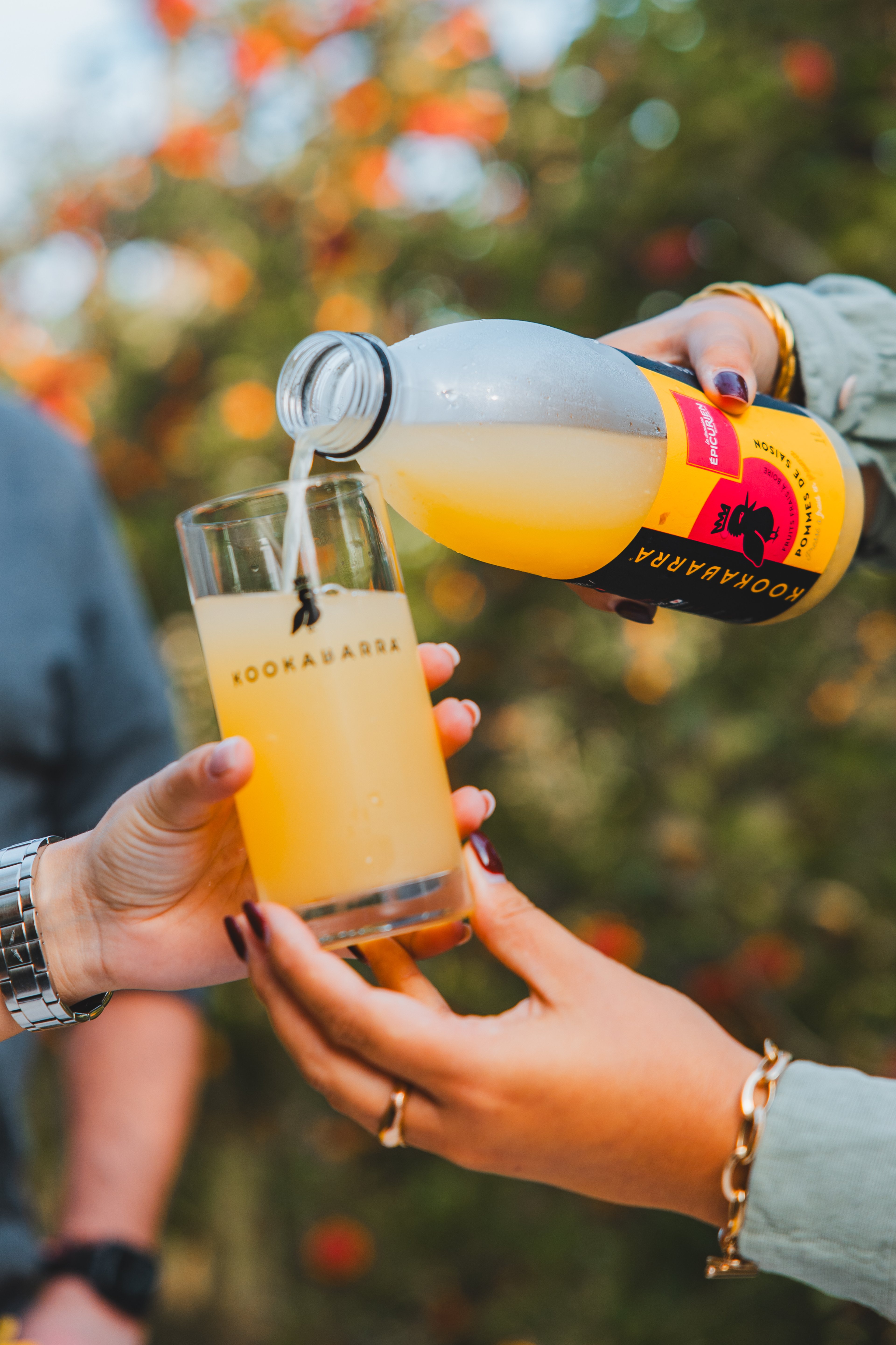 Brand photograph — CAMPAGNE KOOKABARRA, CAVAILLON, 37