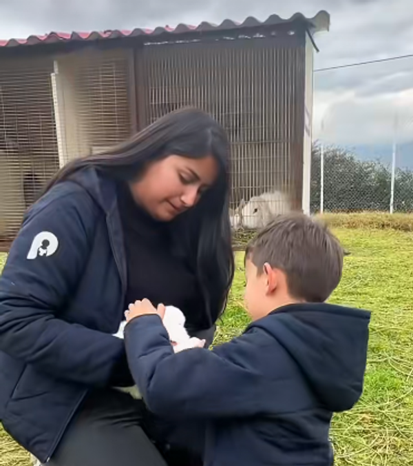 Niño asomado en la casita de madera del patio
