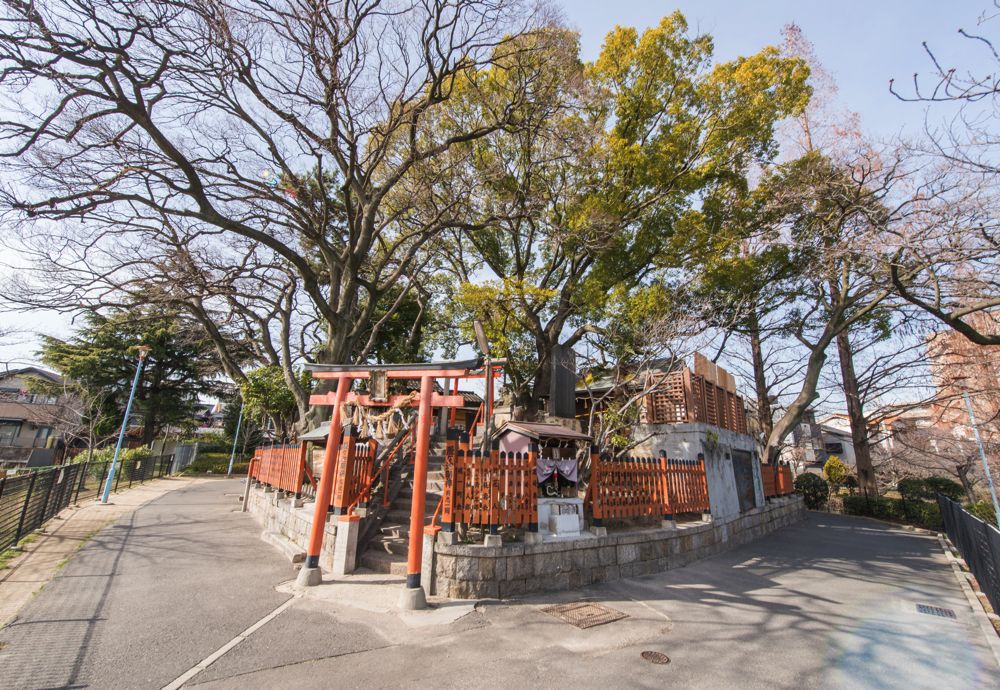Au printemps, profitez des cerisiers en fleurs au parc Momogaike.