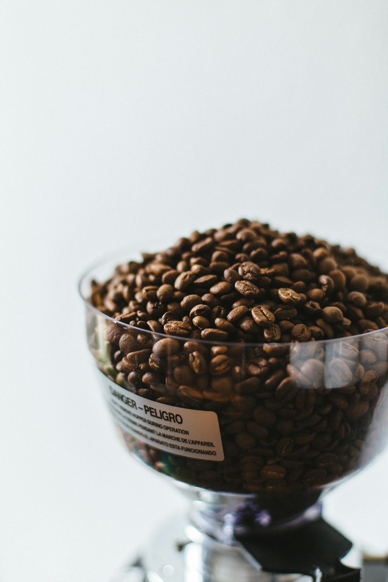 Hand with earth at a coffee farm