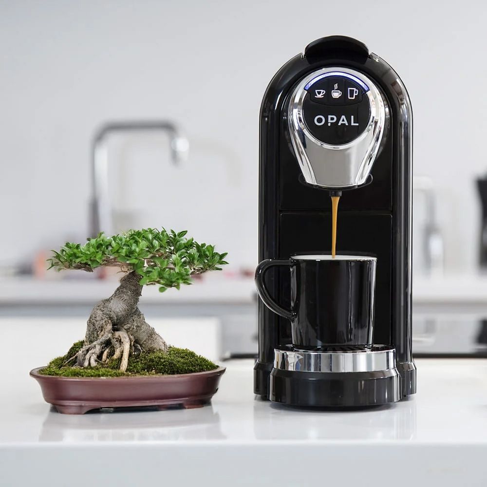 Opal One Kitchen