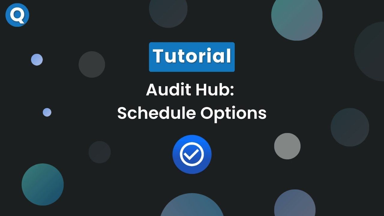 Audit Hub - Schedule Options