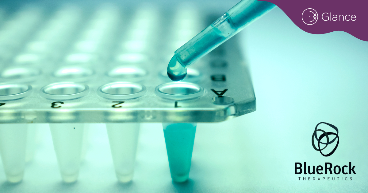 FDA grants IND clearance for BlueRock's primary photoreceptor disease ...