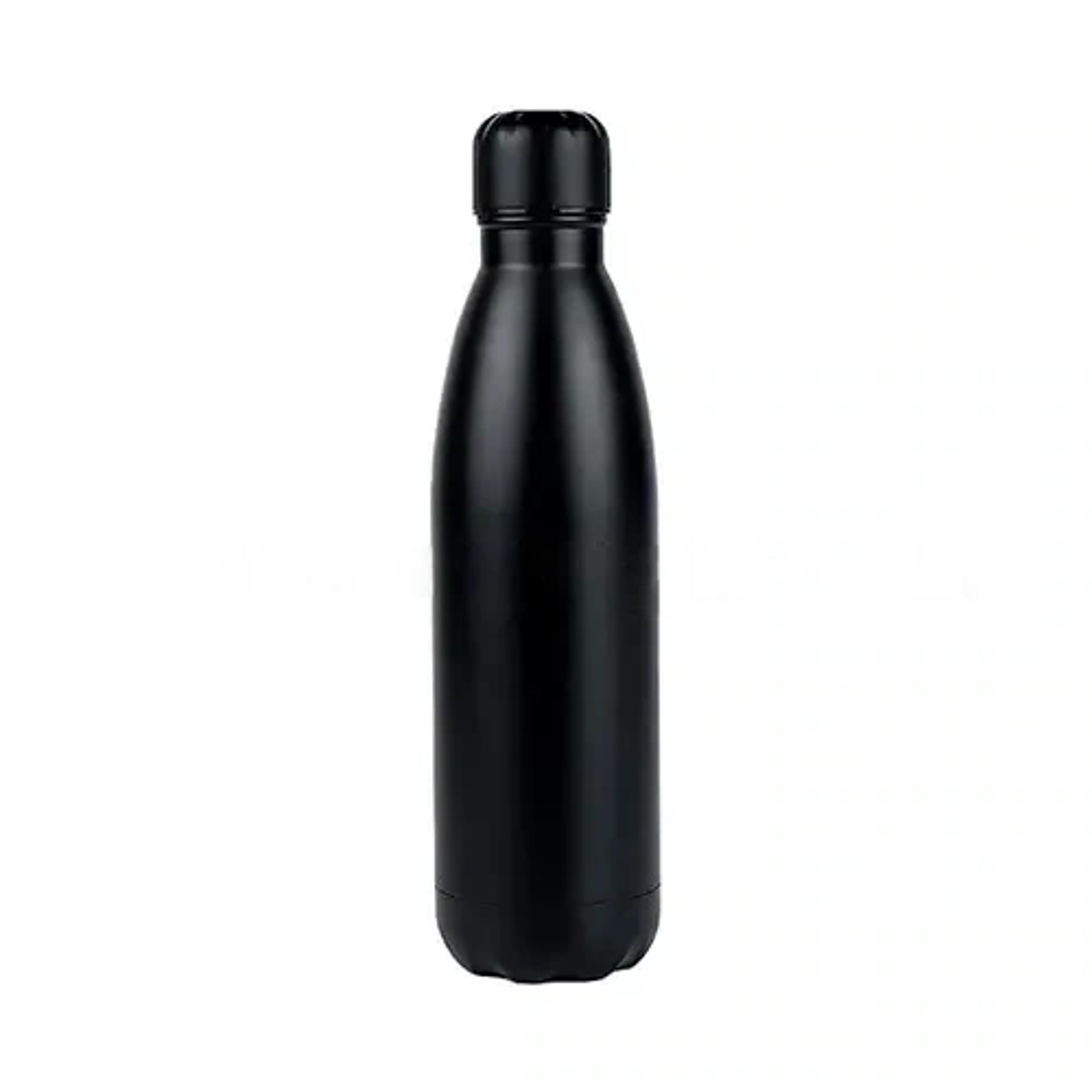 Stainless Steel Bottle