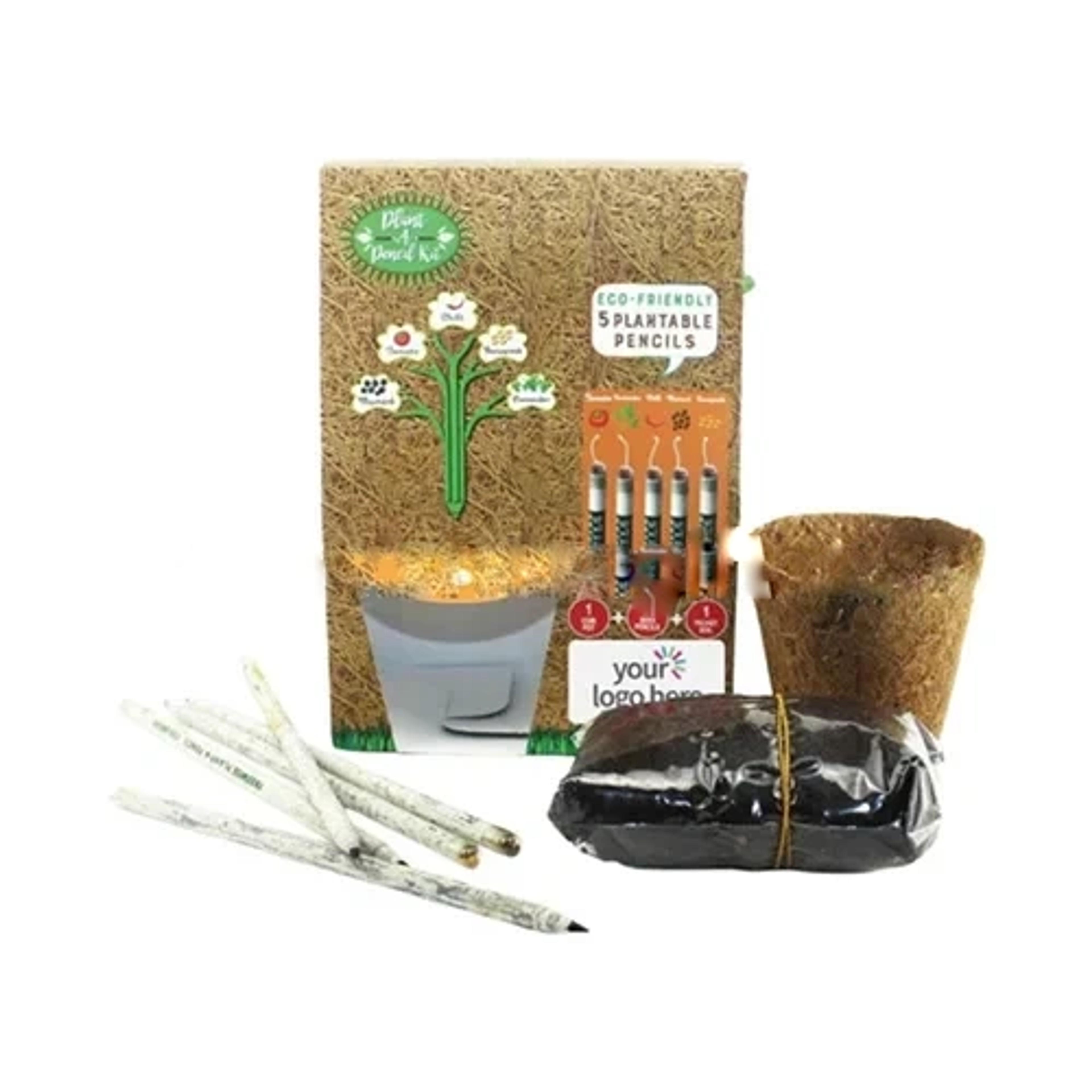 Plant A Pencil Kit