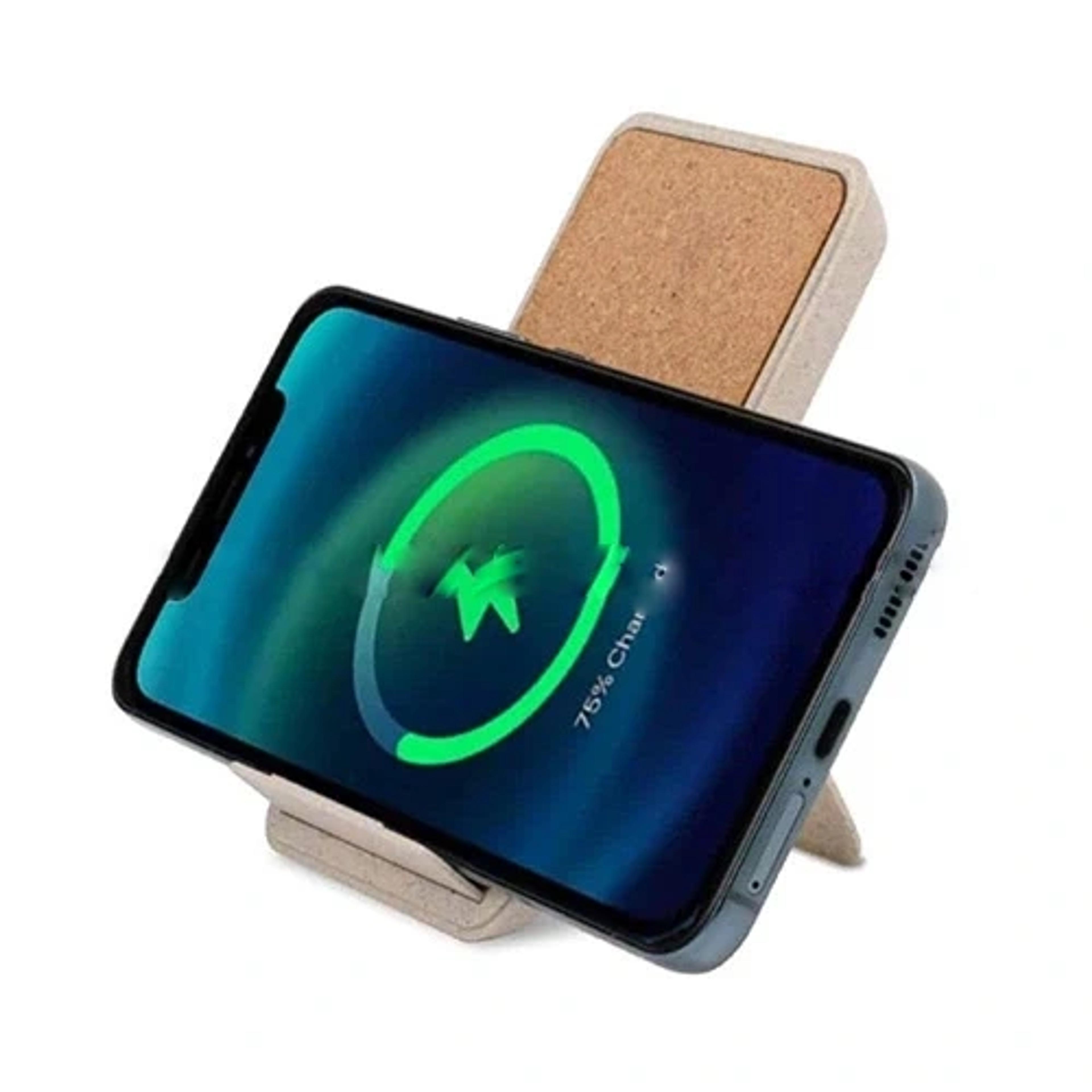 Eco Fast Charger