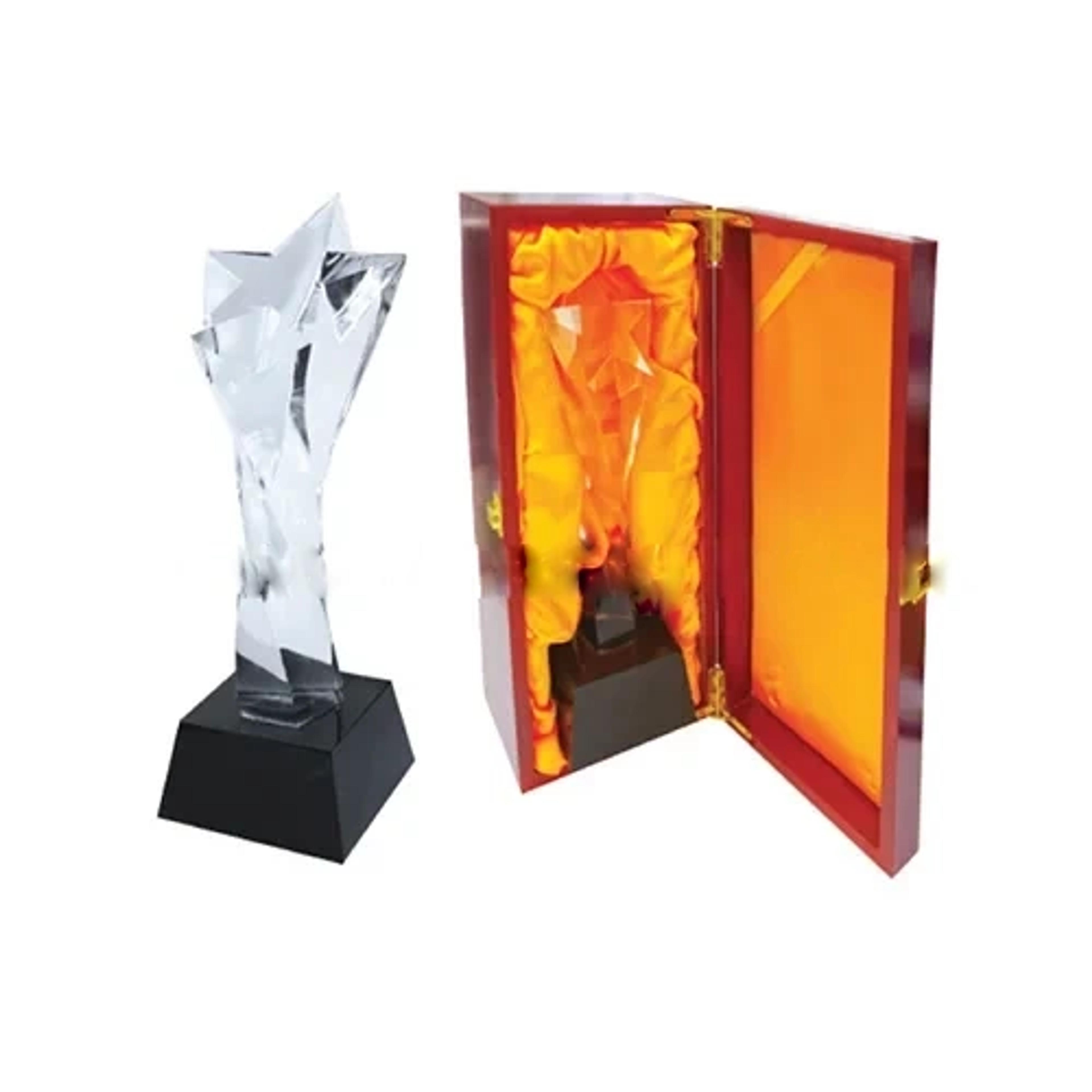 Mesh Glass Award