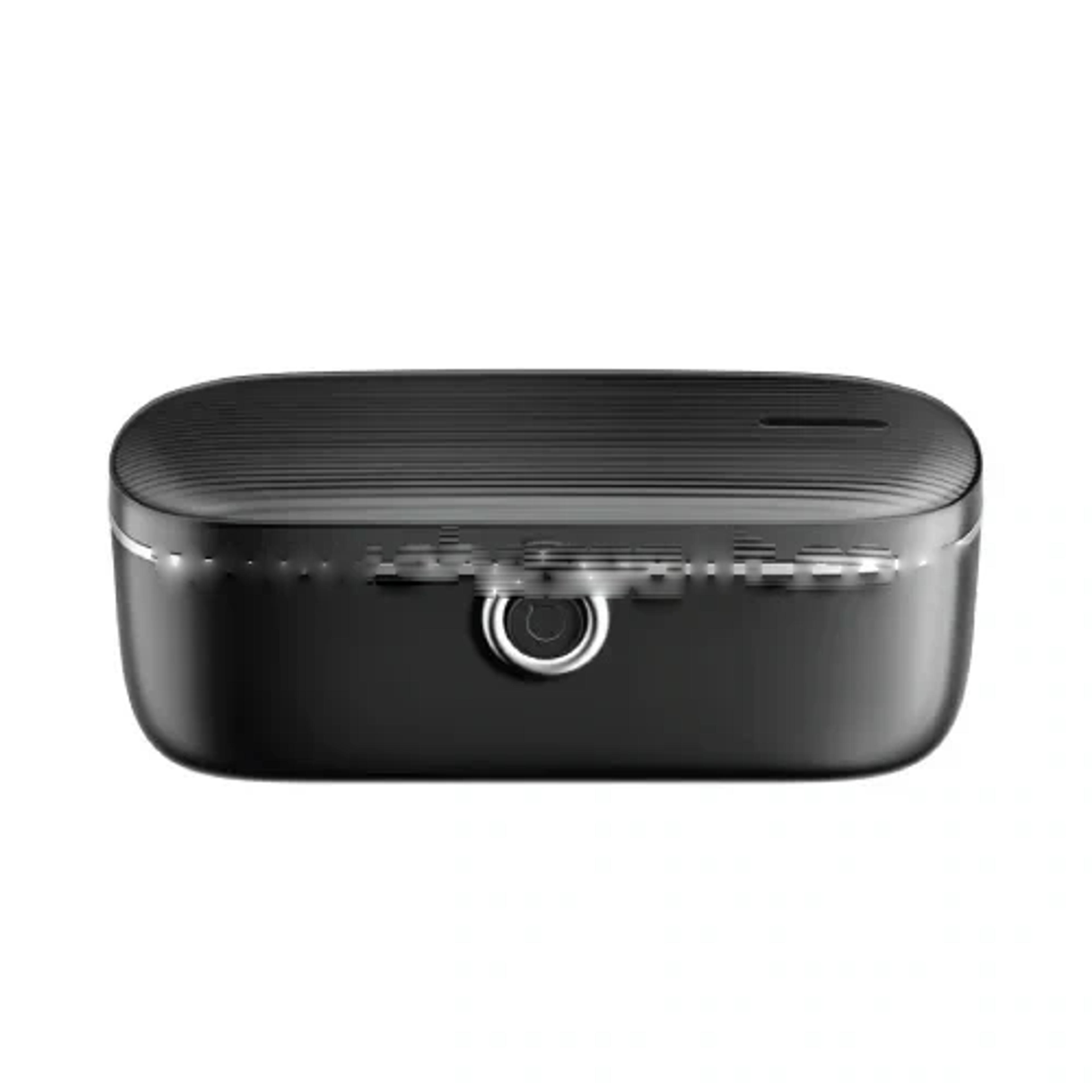 Electric Lunch Box