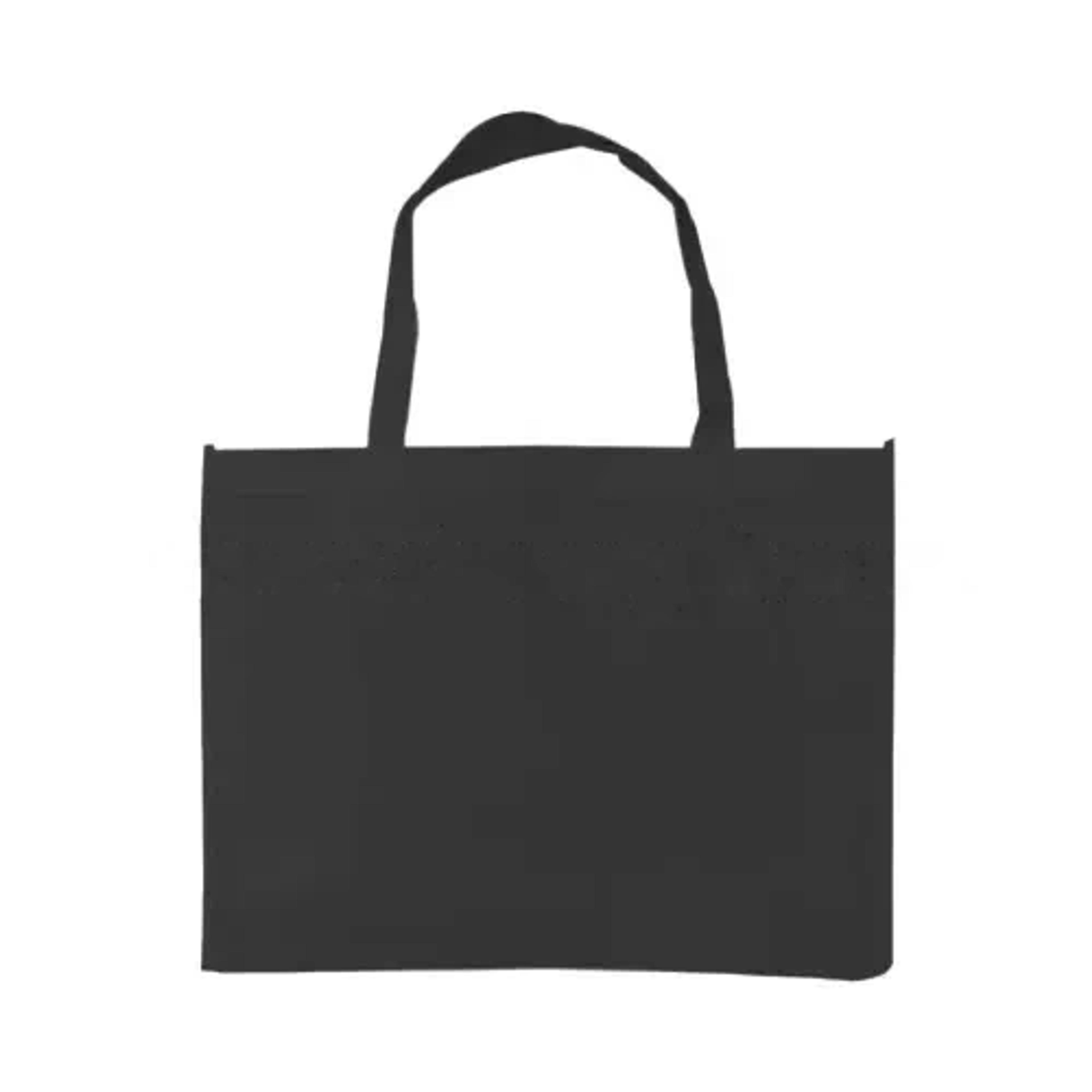Horizontal Non Woven Bag Solid Color