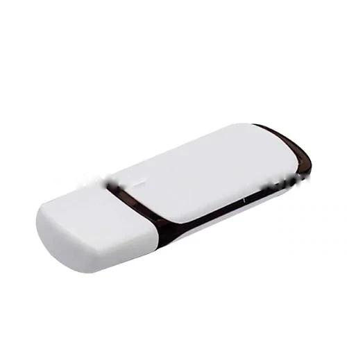 Promotional Plastic Color USB