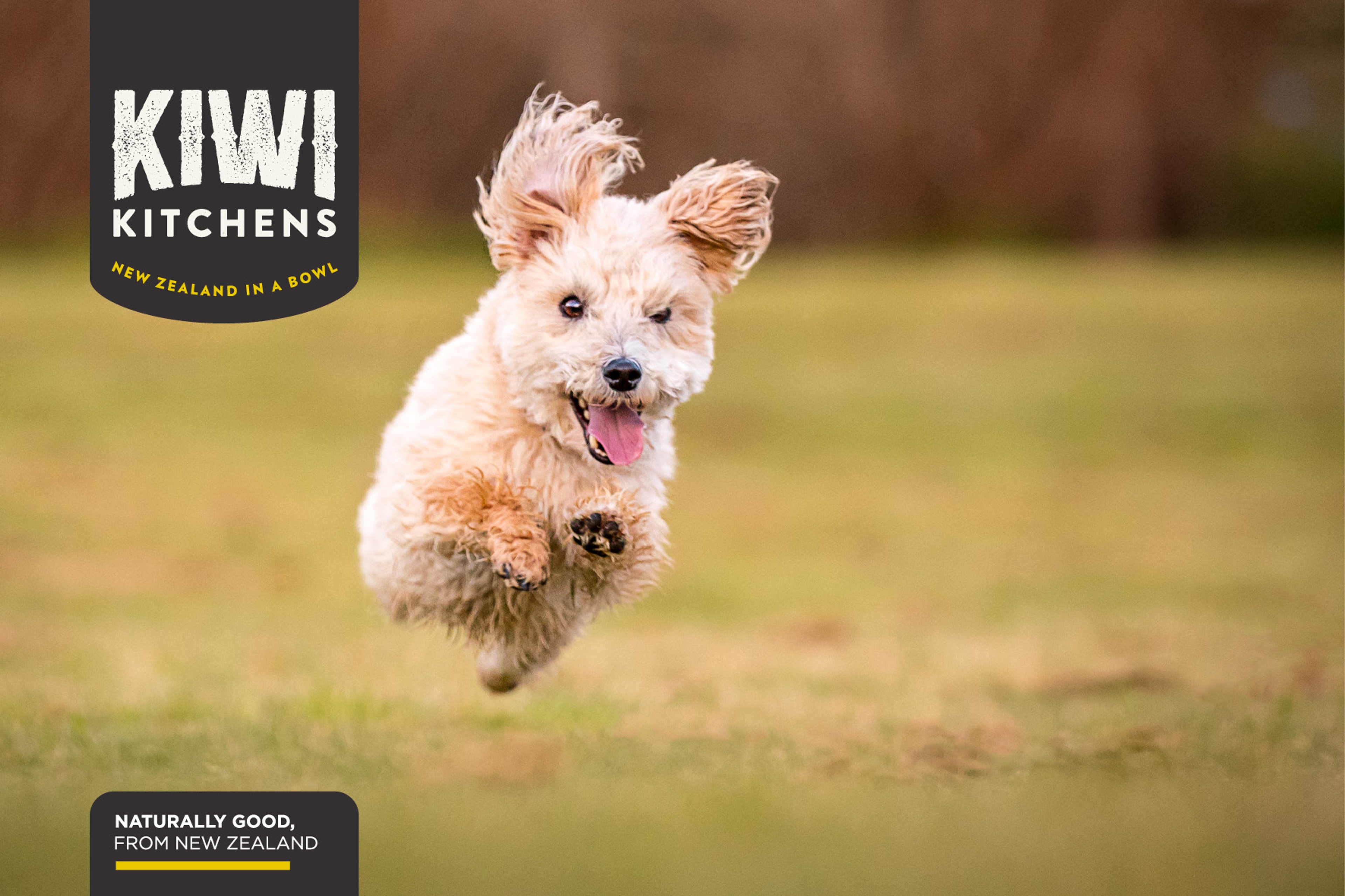 Digital engagement for global pet food brand Kiwi Kitchens