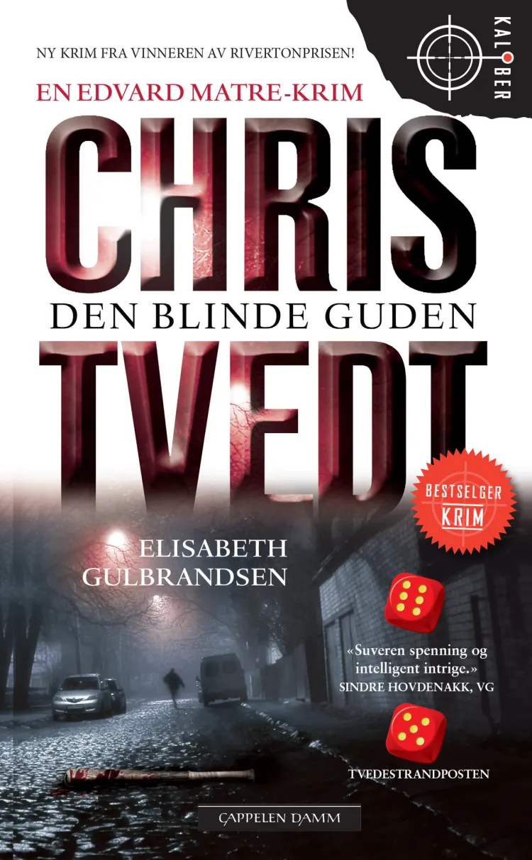 Omslag Den blinde guden av Chris Tvedt og Elisabeth Gulbrandsen (Heftet)