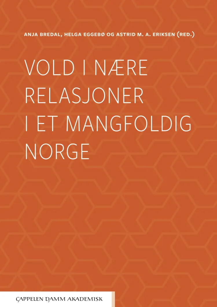 Omslag Vold i nære relasjoner i et mangfoldig Norge av Anja Bredal, Helga Eggebø og Astrid Eriksen (red.) (Heftet)