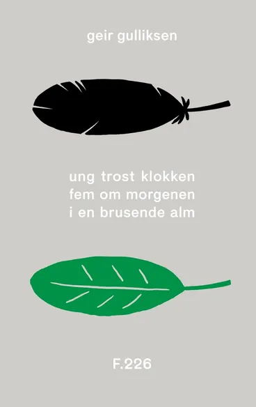 Omslag Ung trost klokken fem om morgenen i en brusende alm av Geir Gulliksen (Innbundet)