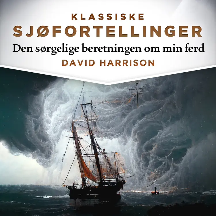 Omslag Den sørgelige beretningen om min ferd av David Harrison (Lydbok)