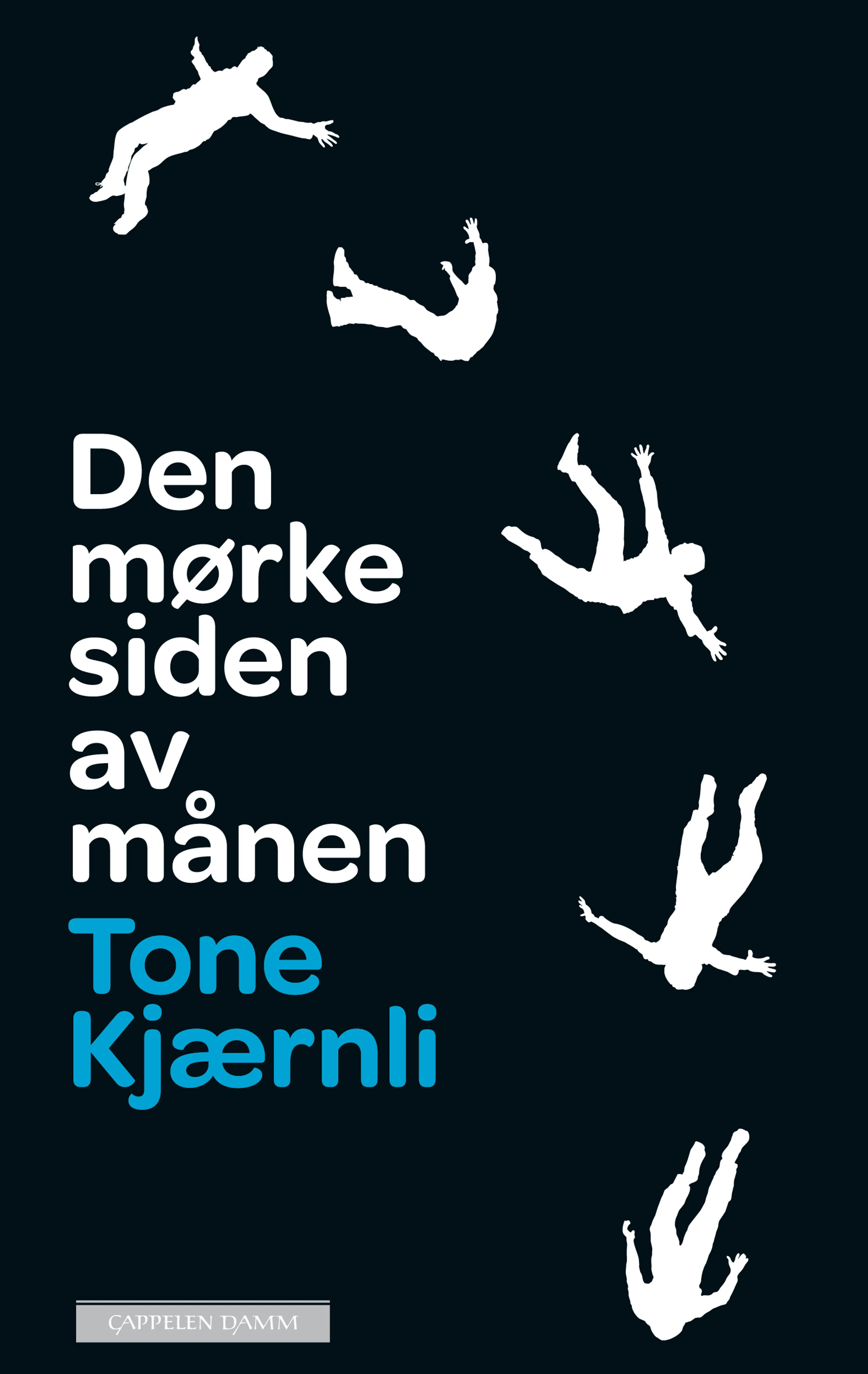 Omslag Den mørke siden av månen av Tone Kjærnli (Innbundet)