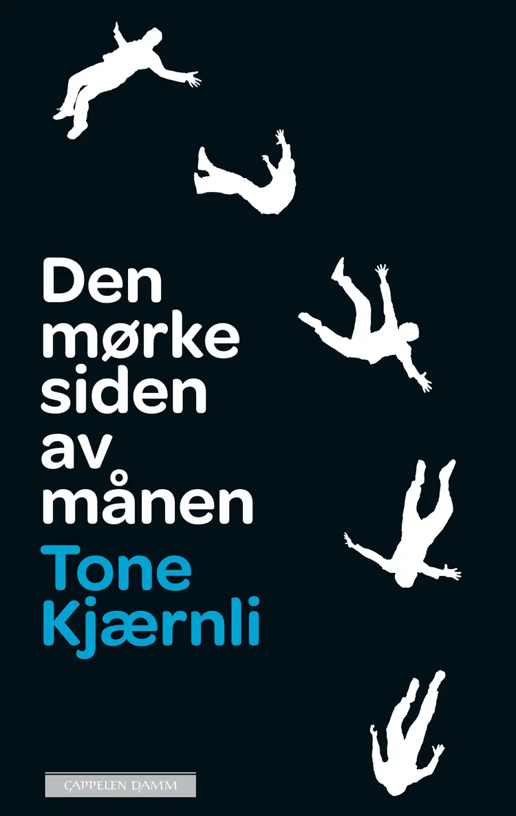 Omslag Den mørke siden av månen av Tone Kjærnli (Innbundet)