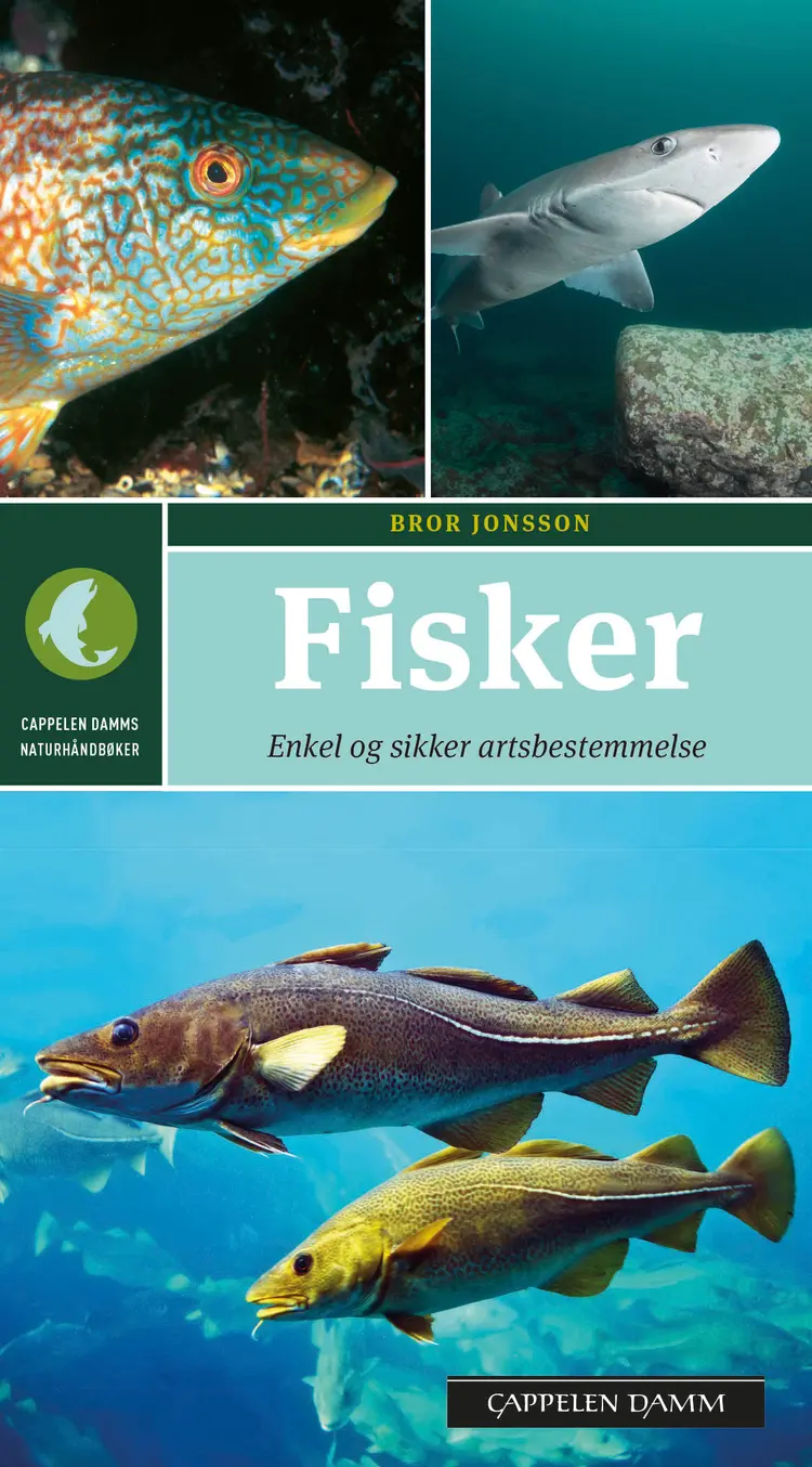 Omslag Fisker av Bror Jonsson (Heftet)
