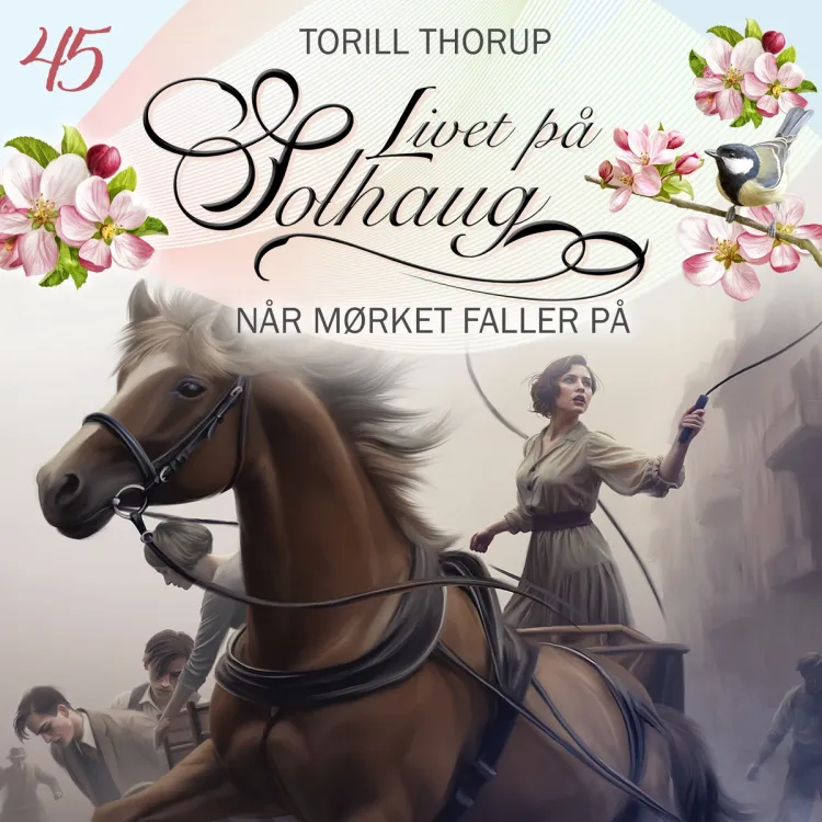 Omslag Når mørket faller på av Torill Thorup (Lydbok)