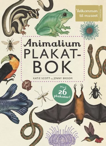 Omslag Animalium plakatbok av Katie Scott og Jenny Broom (Innbundet)