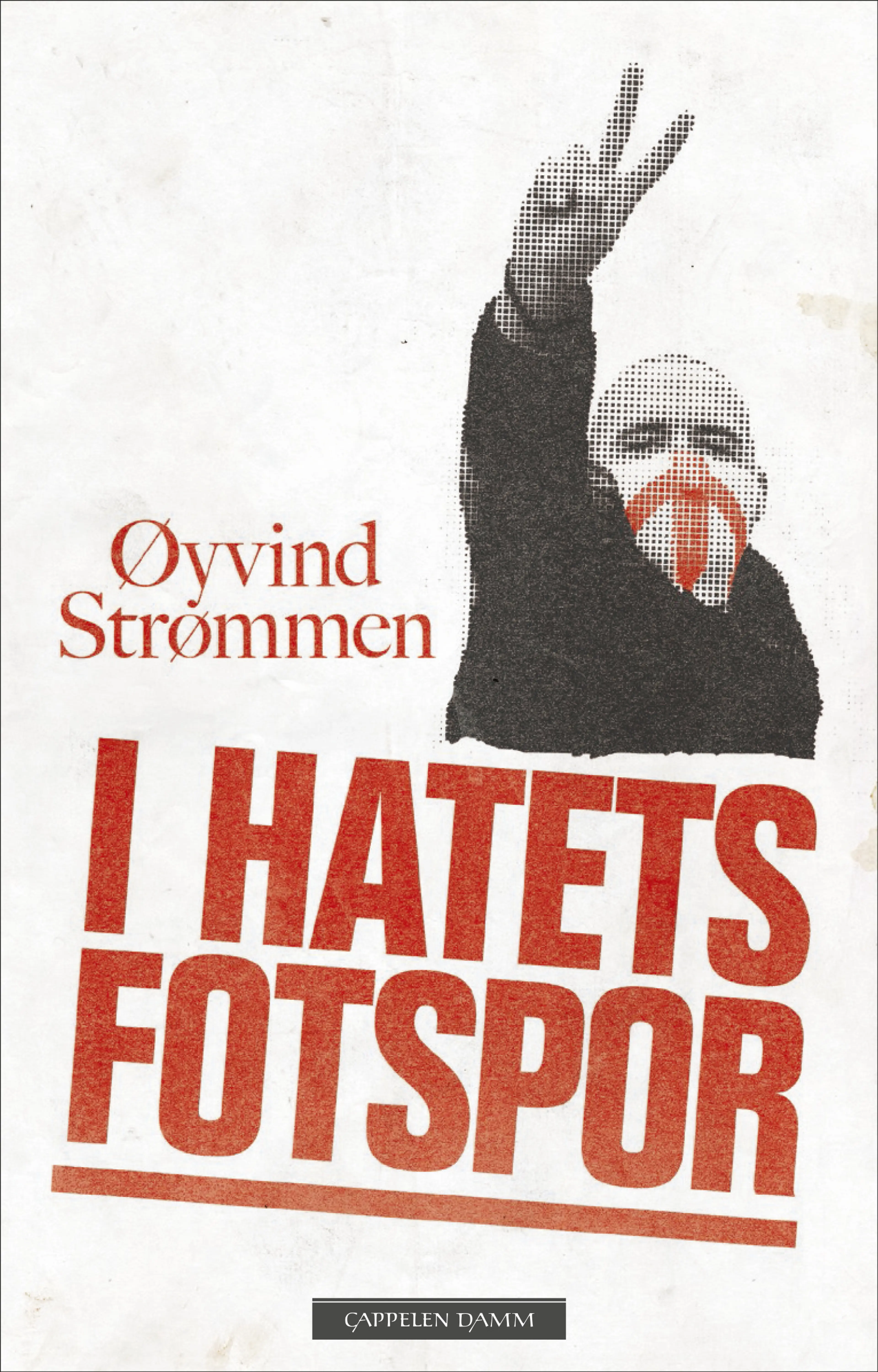 Omslag I hatets fotspor av Øyvind Strømmen (Innbundet)