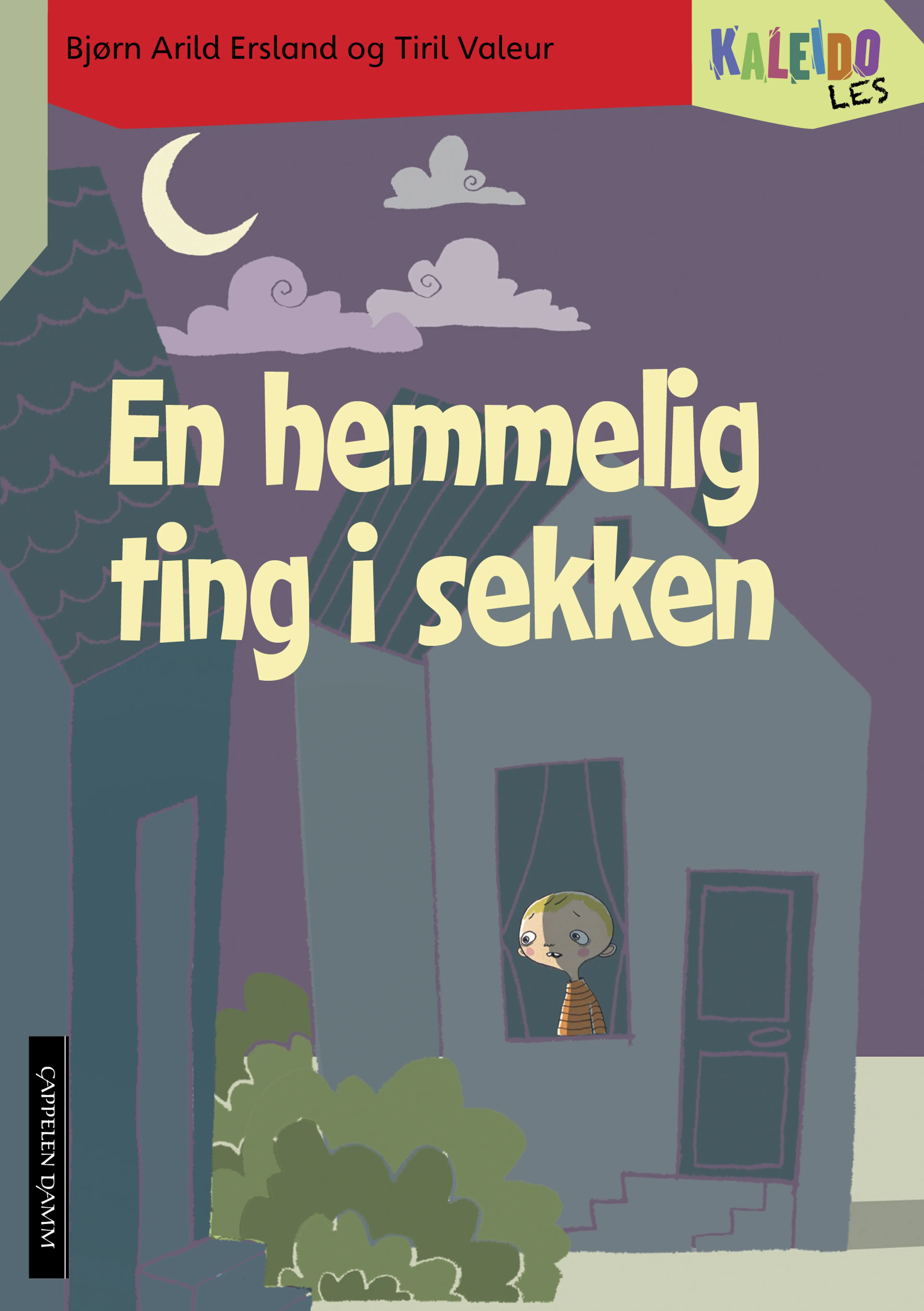 Omslag Kaleido Les Nivå 4 En hemmelig ting i sekken av Bjørn Arild Ersland (Heftet)