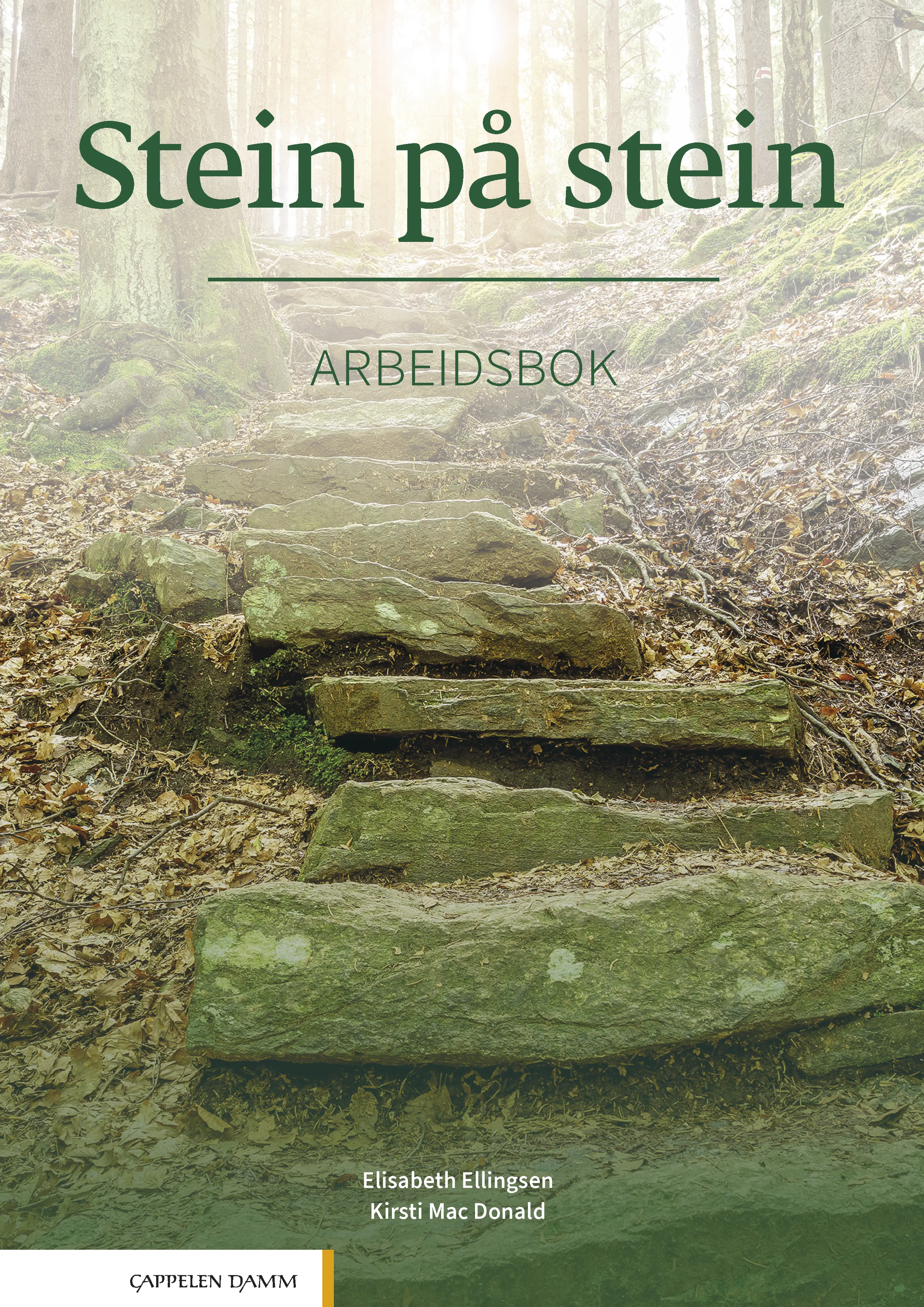 Omslag Stein på stein Arbeidsbok av Elisabeth Ellingsen og Kirsti Mac Donald (Heftet)