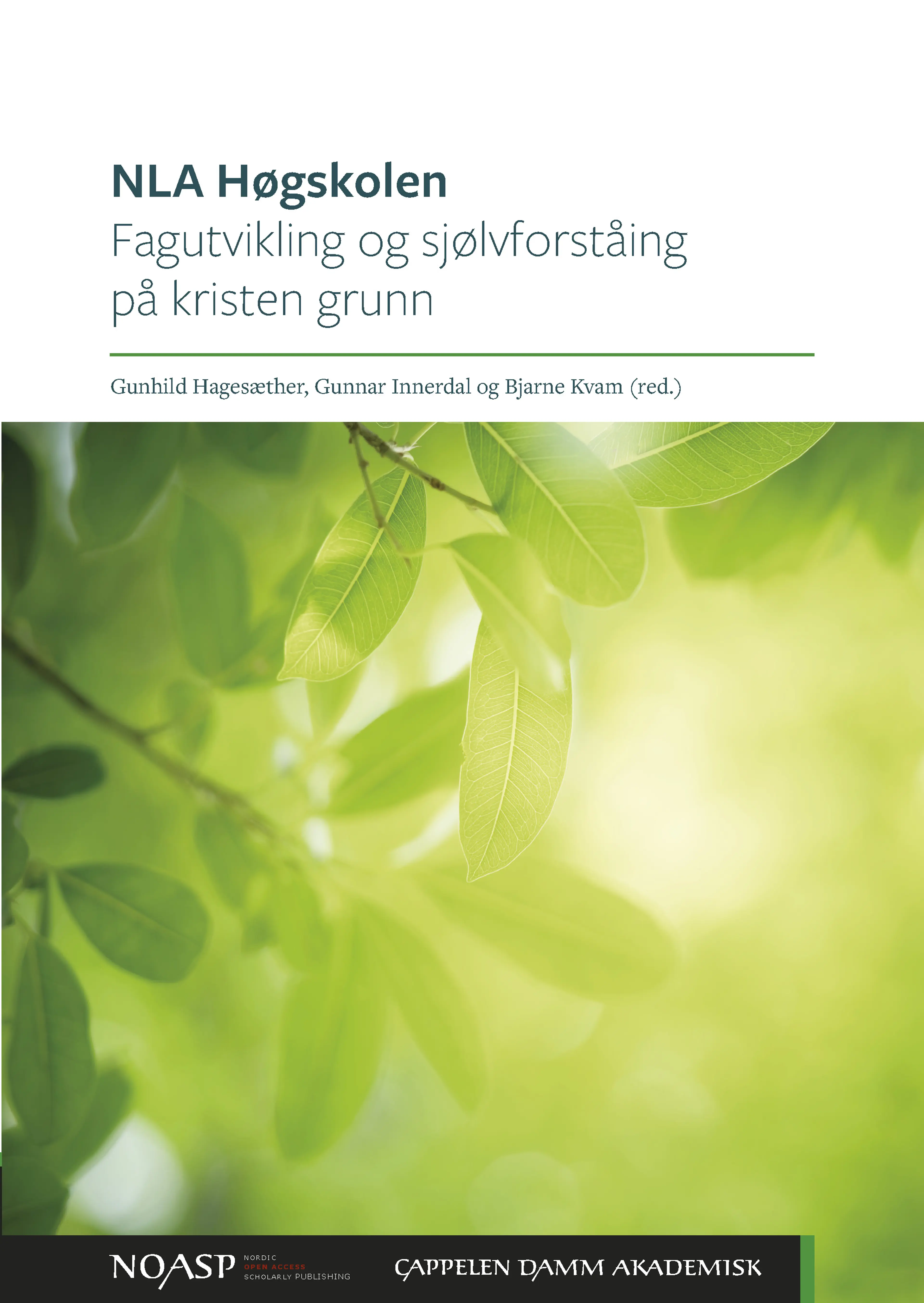 Omslag NLA Høgskolen. Fagutvikling og sjølvforståing på kristen grunn av Gunhild Hagesæther, Gunnar Innerdal og Bjarne Kvam (red.) (Ebok)