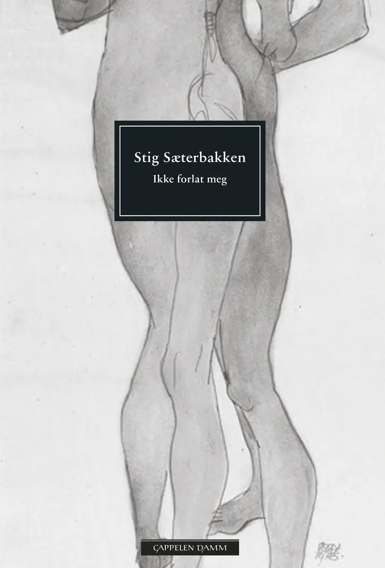 Omslag Ikke forlat meg av Stig Sæterbakken (Heftet)