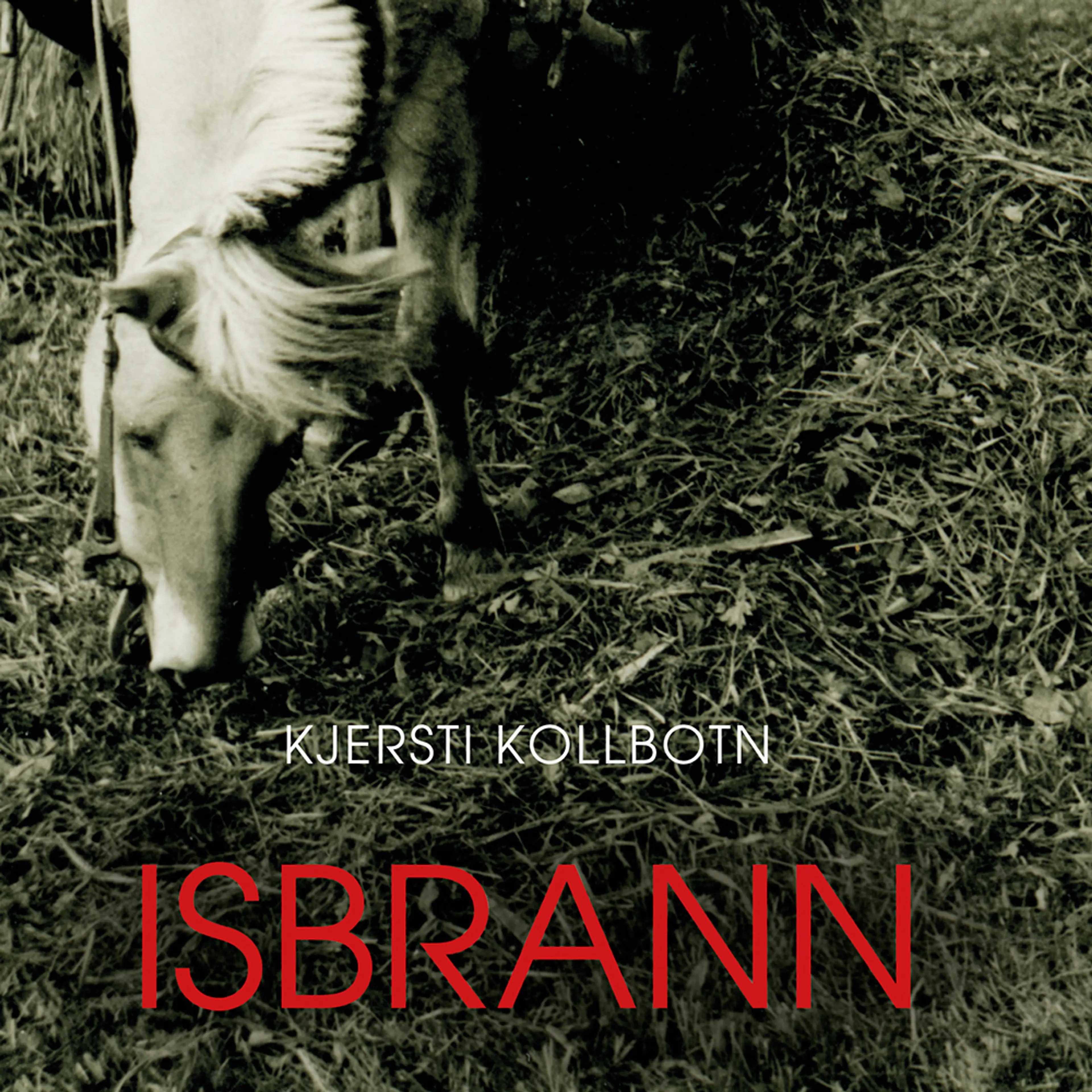 Omslag Isbrann av Kjersti Kollbotn (Lydbok)