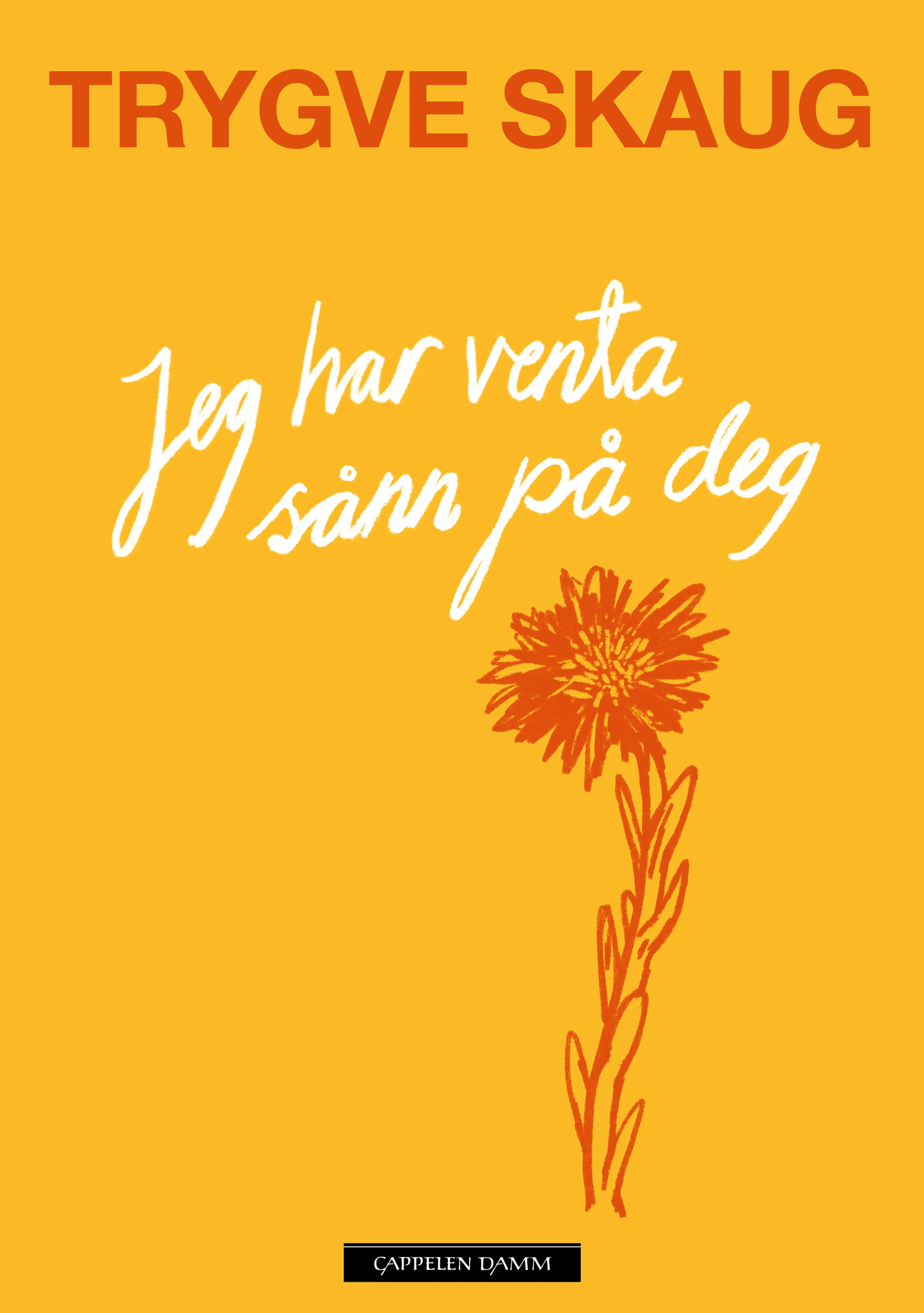 Omslag Jeg har venta sånn på deg av Trygve Skaug (Innbundet)