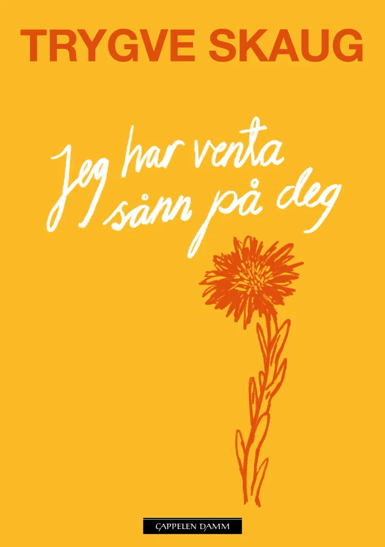 Omslag Jeg har venta sånn på deg av Trygve Skaug (Innbundet)