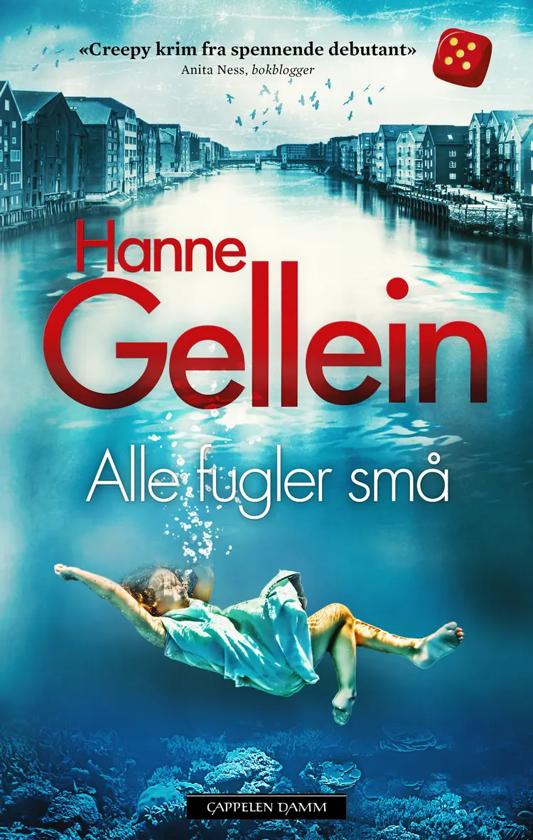 Omslag Alle fugler små av Hanne Gellein (Innbundet)