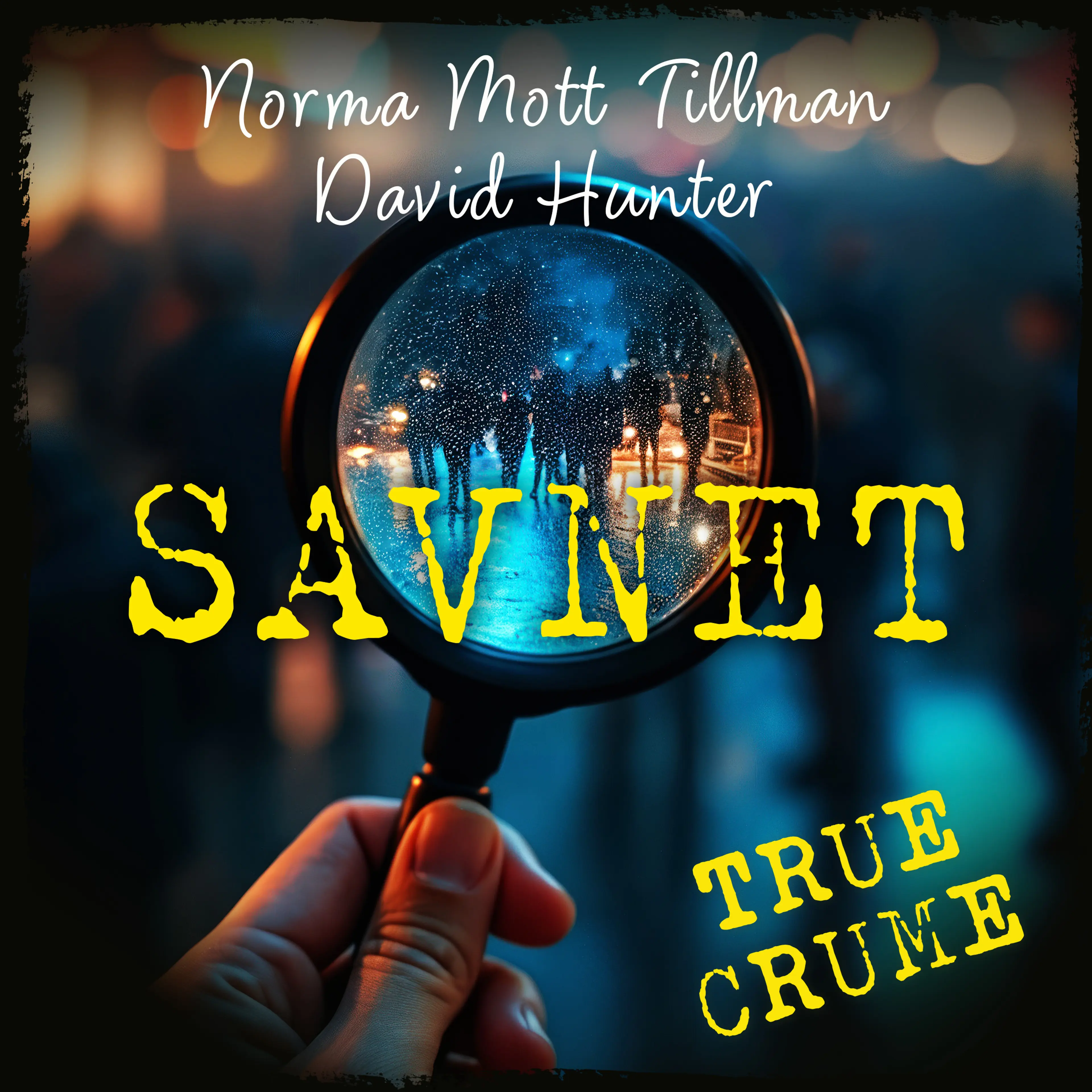 Omslag Savnet av Norma Mott Tillman og David Hunter (Lydbok)
