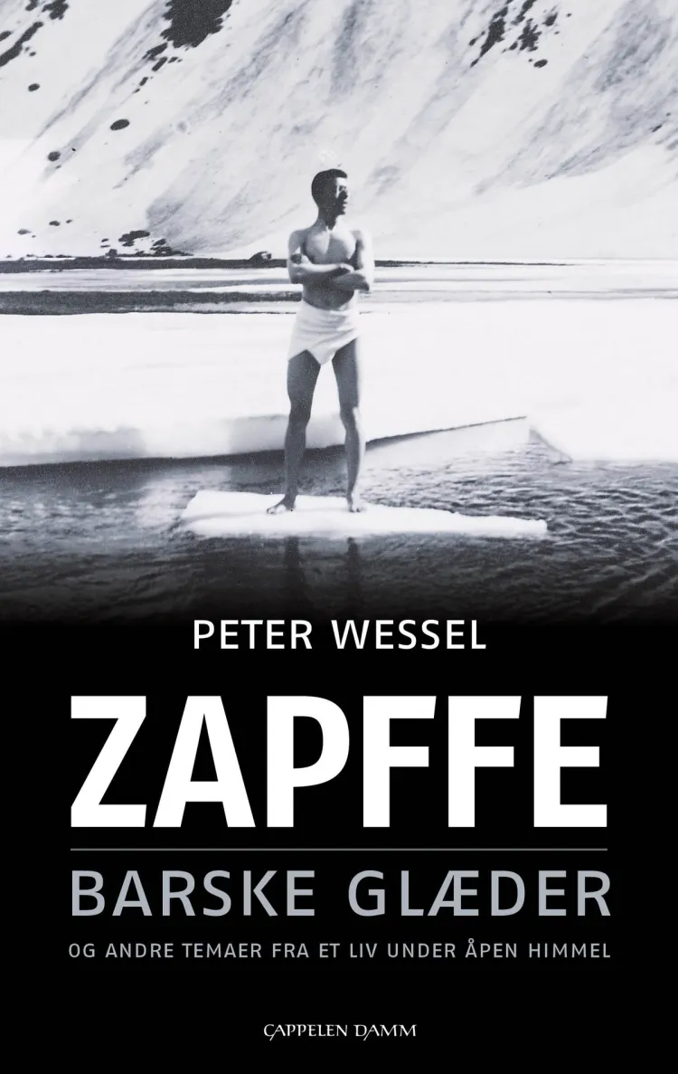 Omslag Barske glæder av Peter Wessel Zapffe (Innbundet)