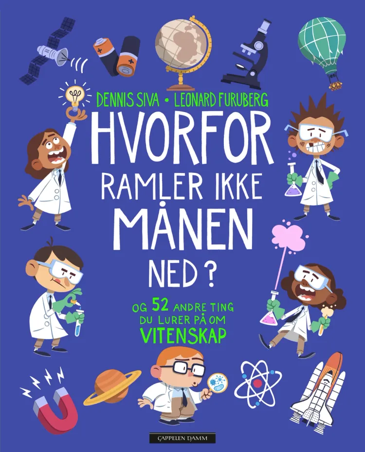 Omslag Hvorfor ramler ikke månen ned? av Dennis Siva Lie (Innbundet)