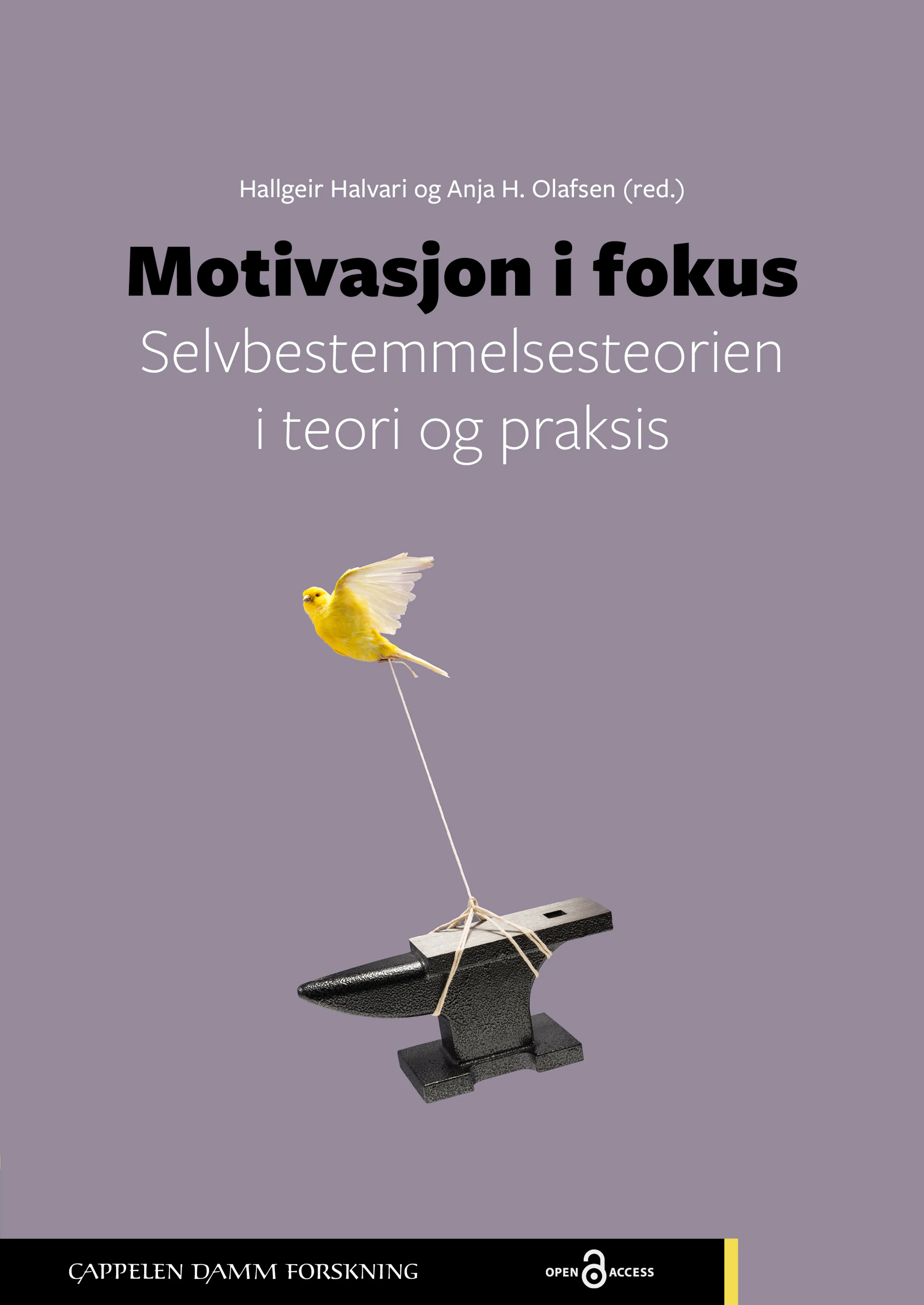 Omslag Motivasjon i fokus av Hallgeir Halvari og Anja H. Olafsen (red.) (Heftet)