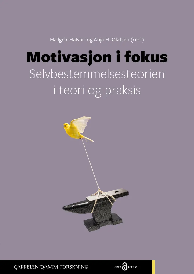 Omslag Motivasjon i fokus av Hallgeir Halvari og Anja H. Olafsen (red.) (Heftet)