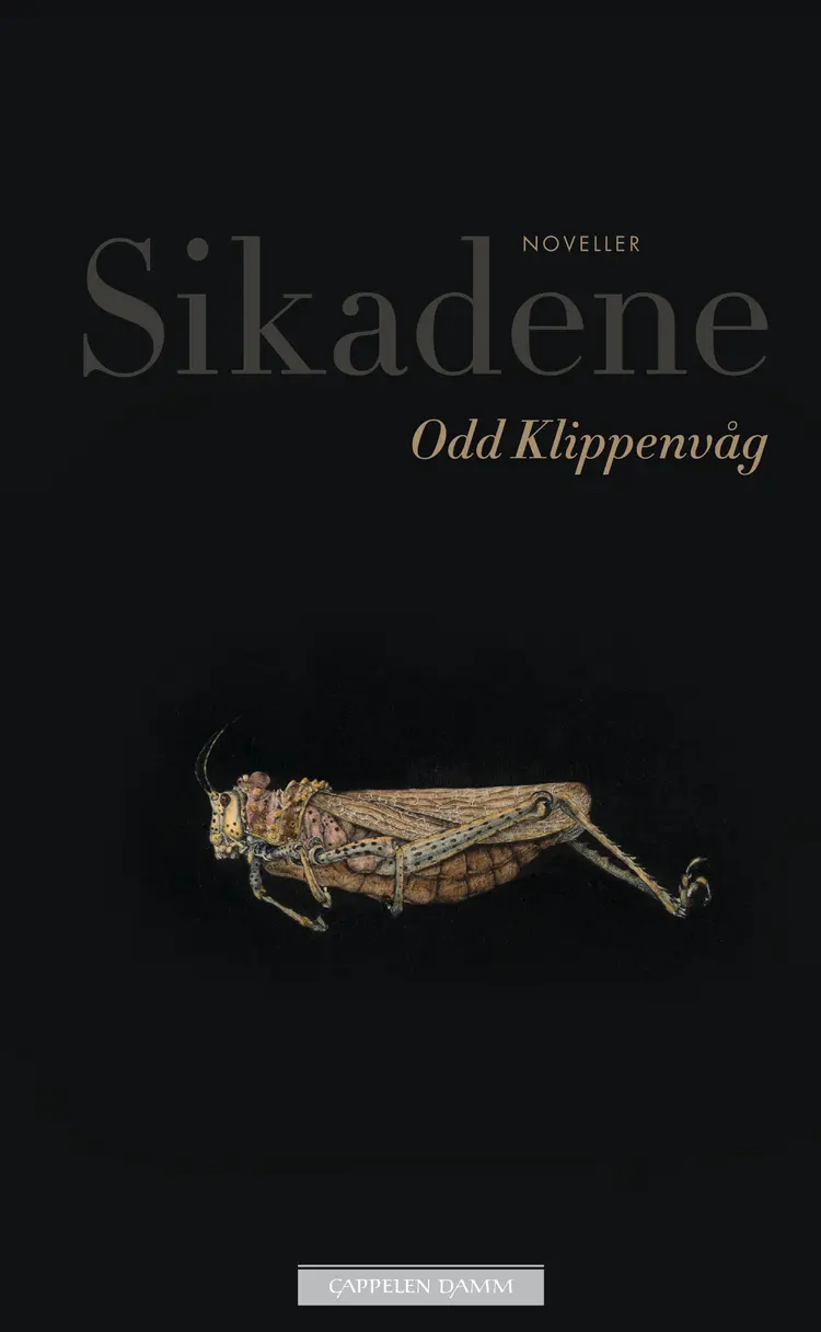 Omslag Sikadene av Odd Klippenvåg (Ebok)