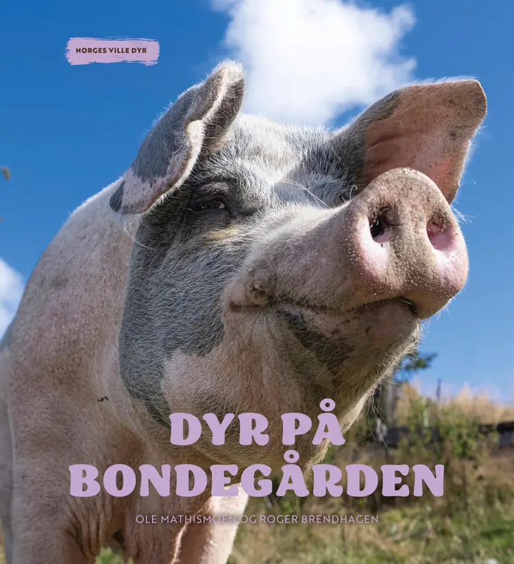 Omslag Dyr på bondegården av Ole Mathismoen og Roger Brendhagen (Innbundet)