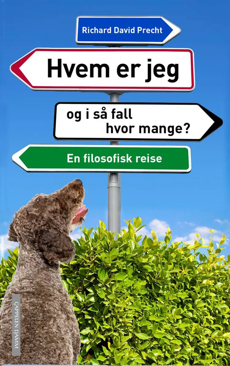 Omslag Hvem er jeg - og i såfall hvor mange? av Richard David Precht (Innbundet)