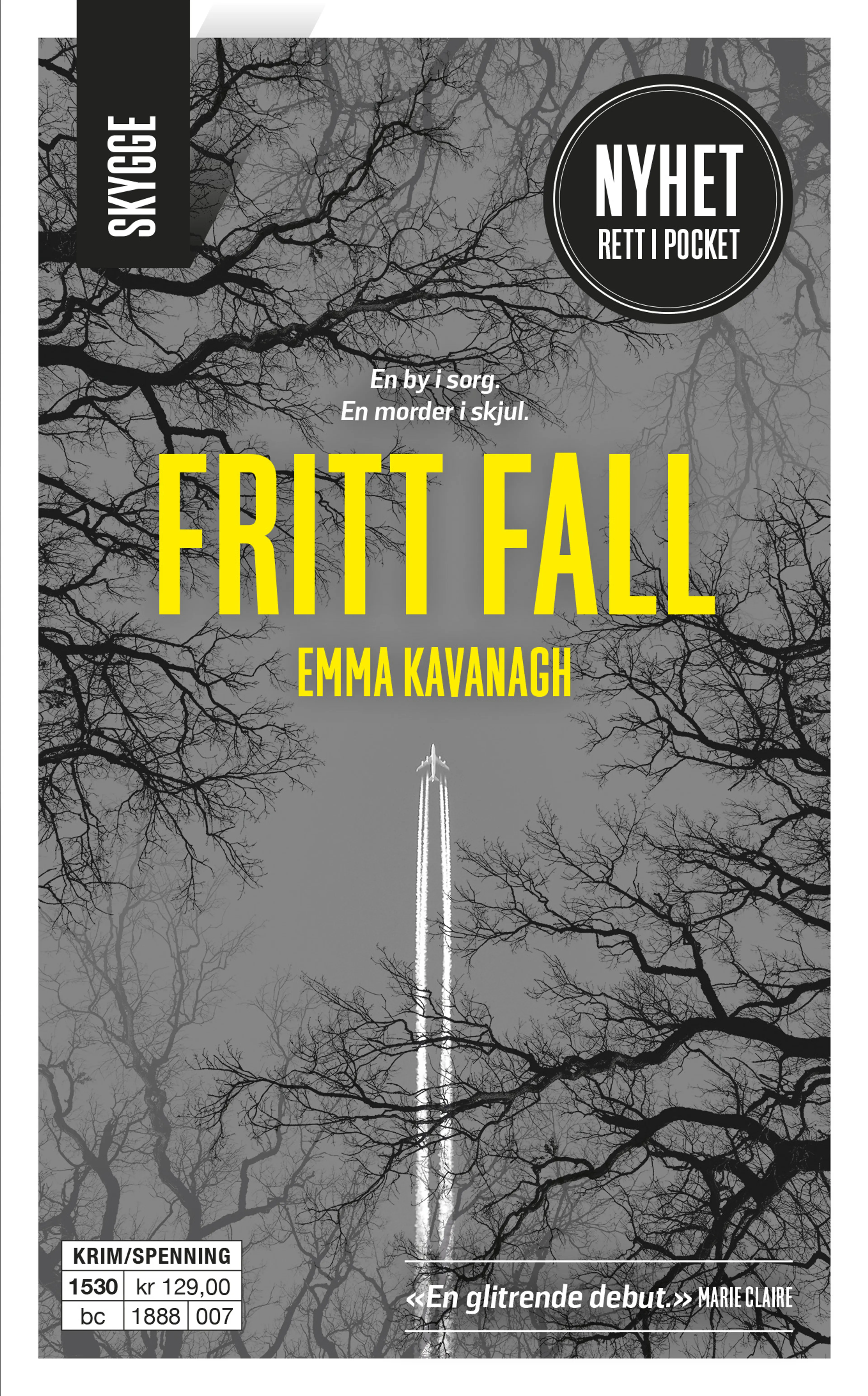 Omslag Fritt fall av Emma Kavanagh (Ebok)