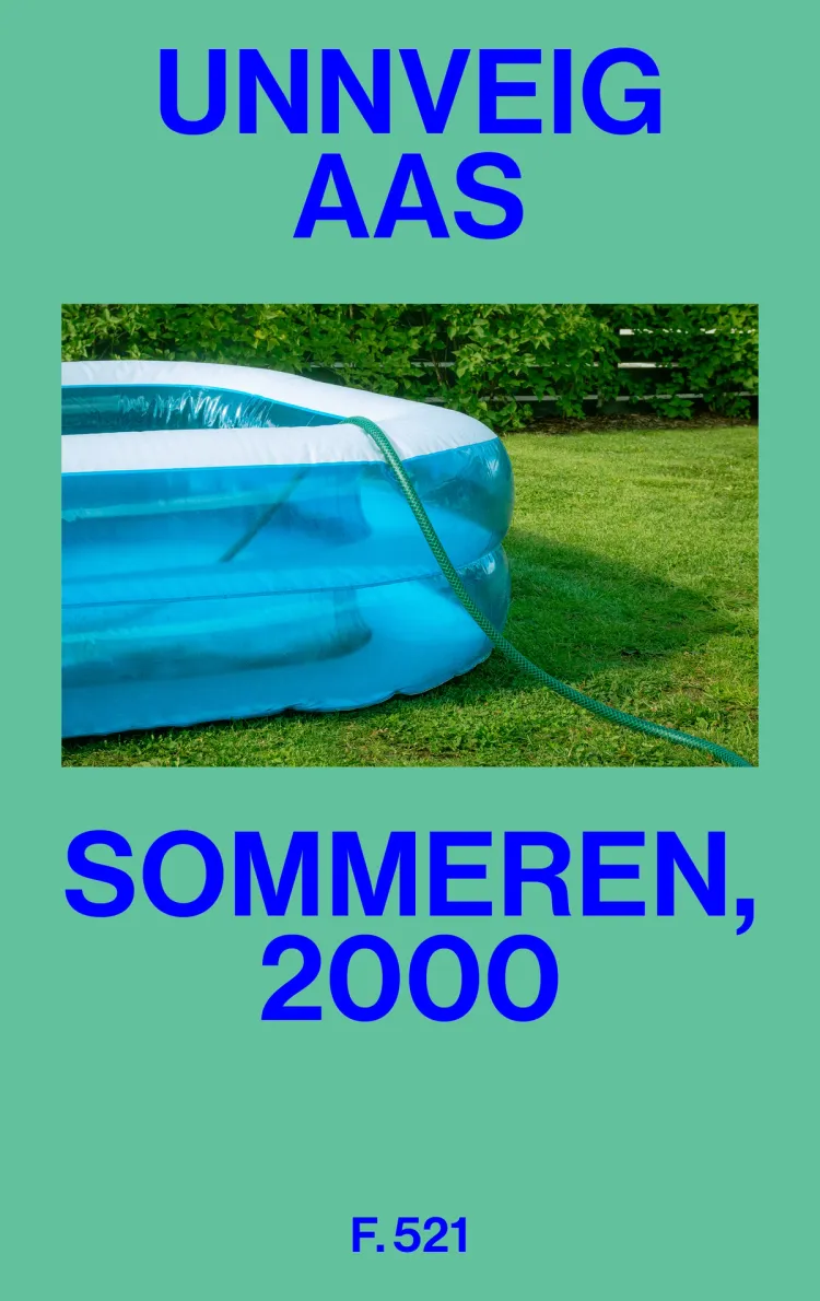Omslag Sommeren, 2000 av Unnveig Aas (Innbundet)