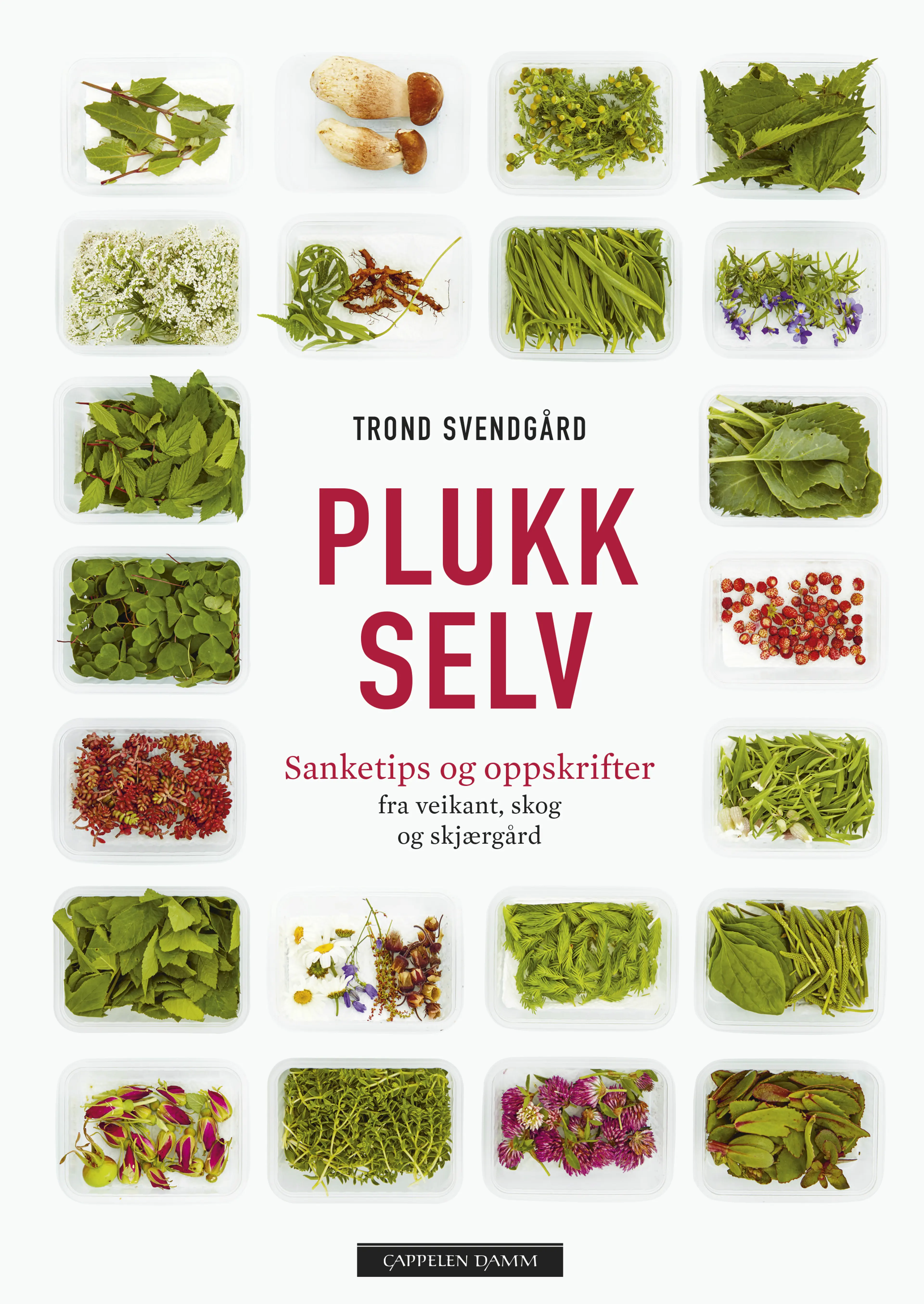 Omslag Plukk selv av Trond Svendgård (Innbundet)