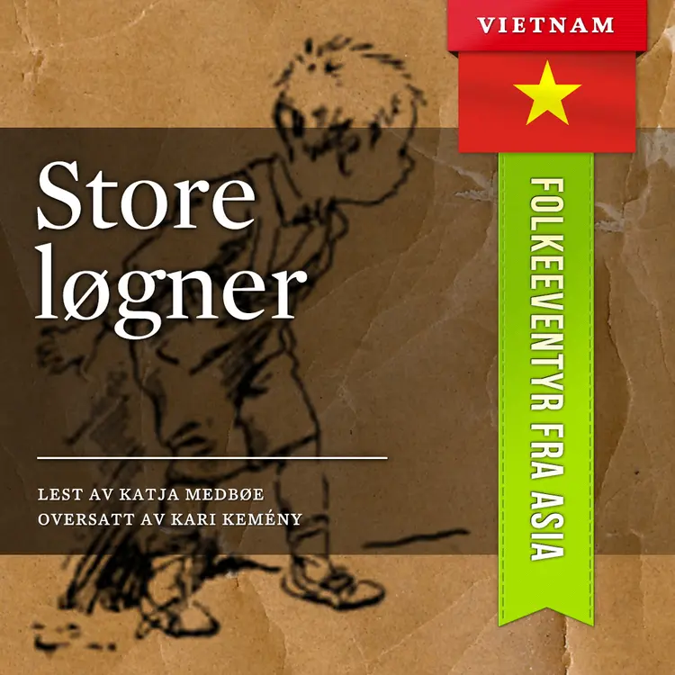 Omslag Store løgner av Flere (Lydbok)