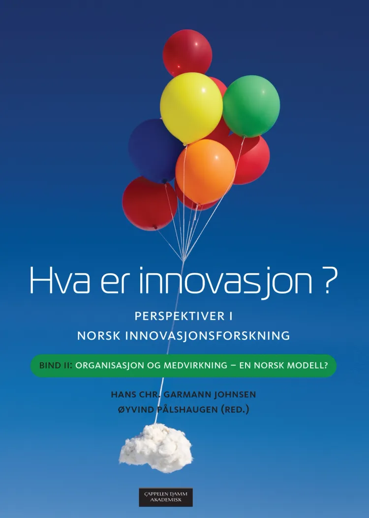 Omslag Hva er innovasjon? Perspektiver i norsk innovasjonsforskning av Hans Chr. Garmann Johnsen og Øyvind Pålshaugen (red.) (Ebok)