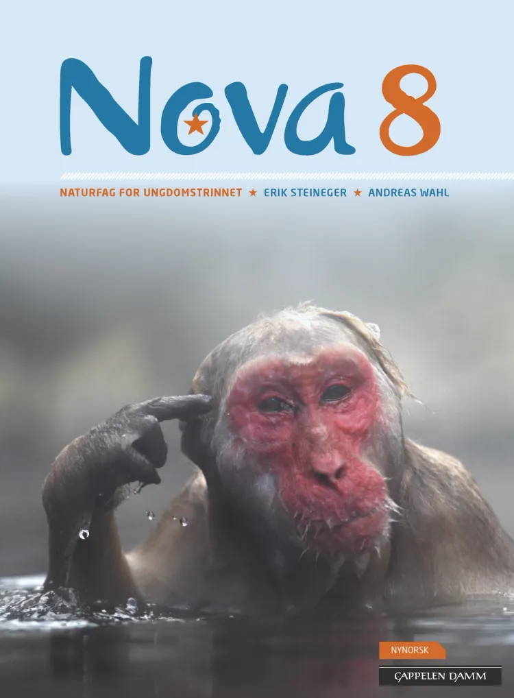 Omslag Nova 8 Elevbok av Erik Steineger og Andreas Wahl (Innbundet)